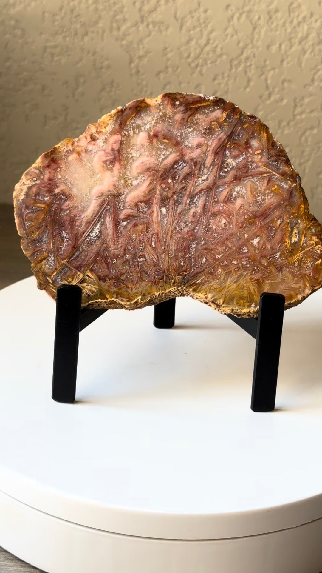 Rare High Grade Brazilian Sagenite Agate Slab on Metal Stand