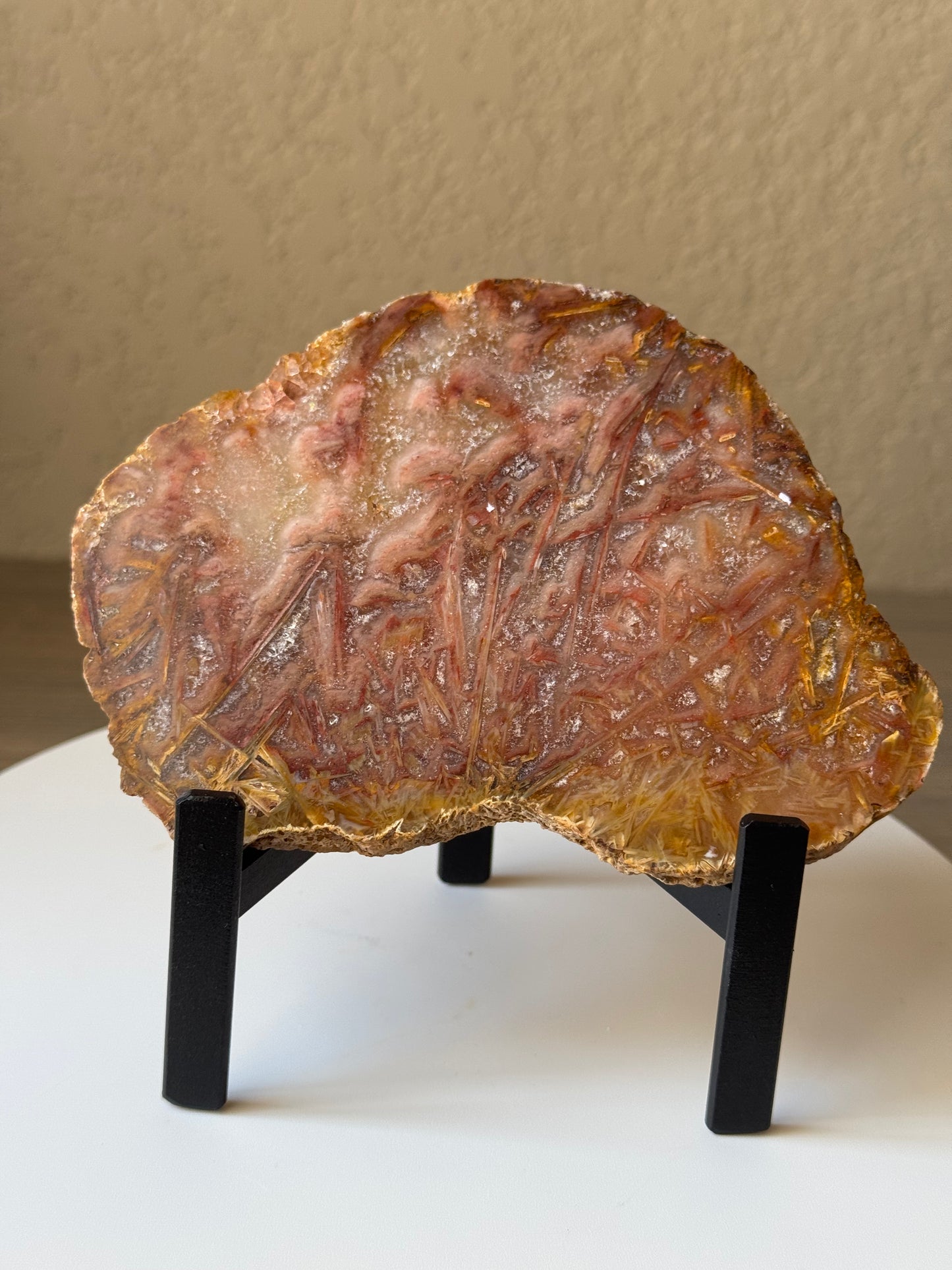 Rare High Grade Brazilian Sagenite Agate Slab on Metal Stand