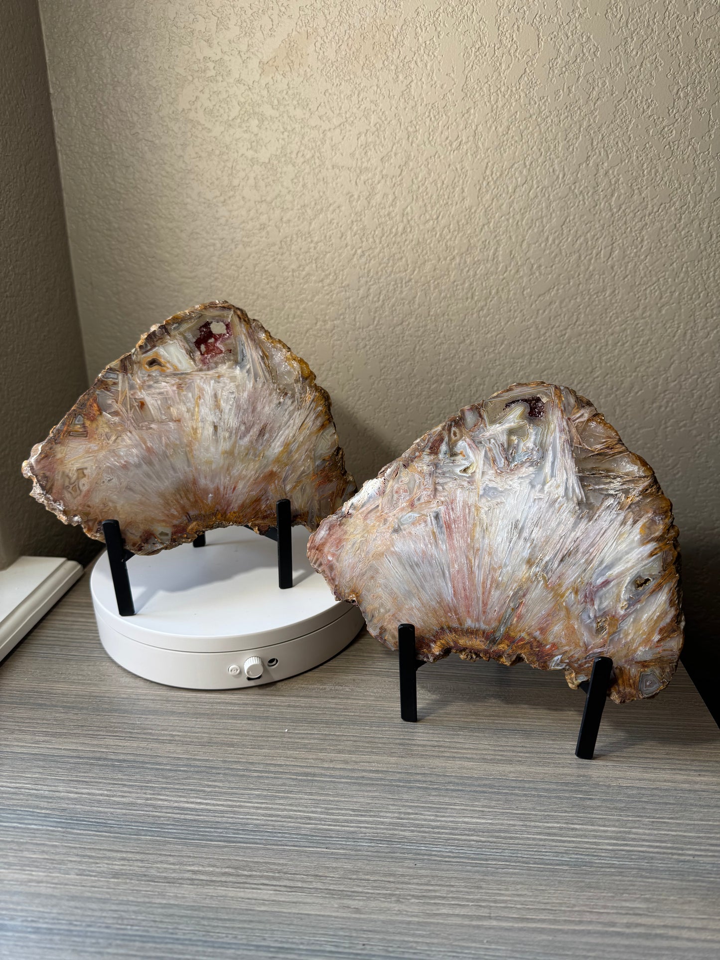 Rare High Grade Brazilian Sagenite Agate Slab on Metal Stand