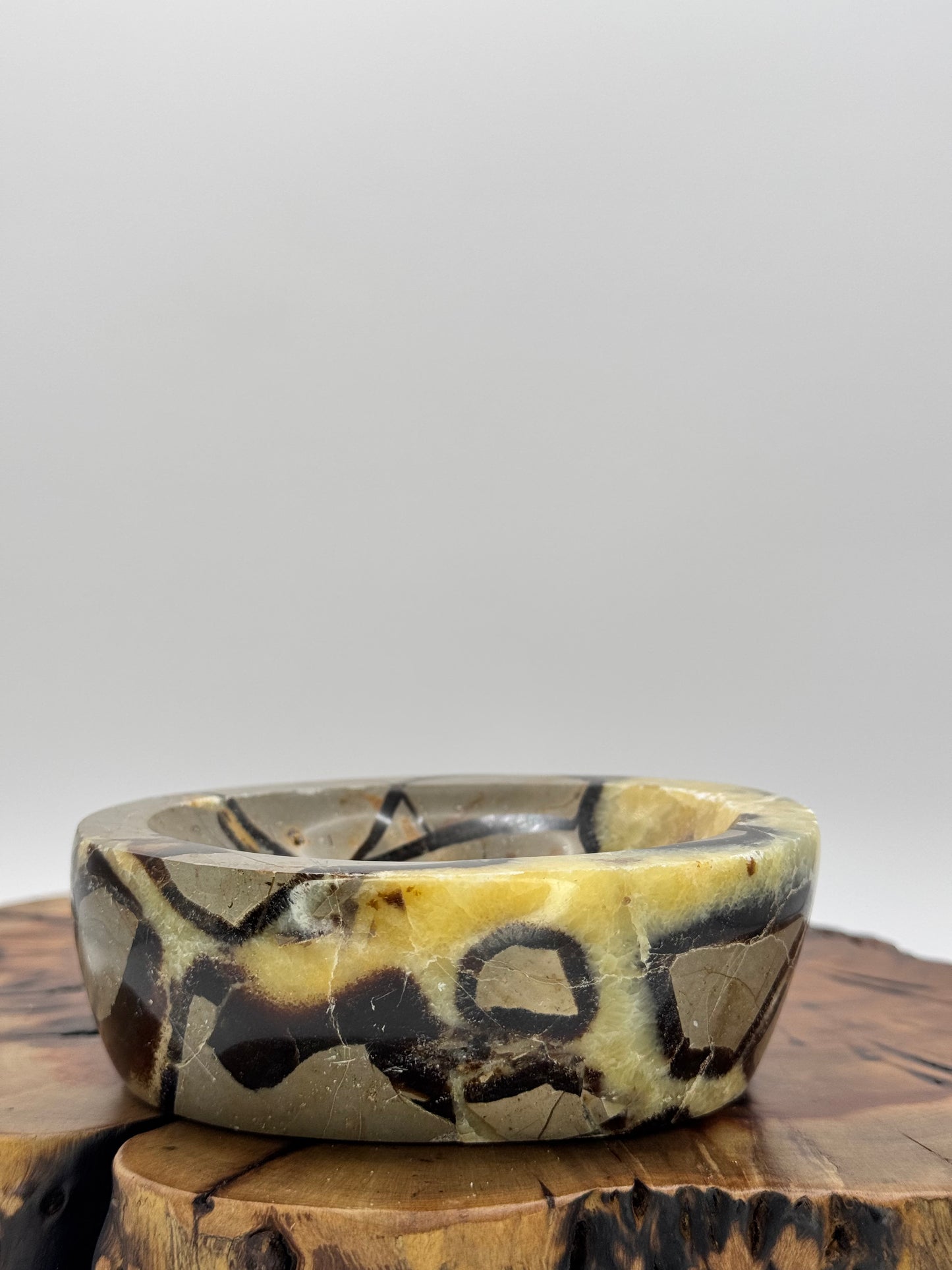 Septarian Bowl