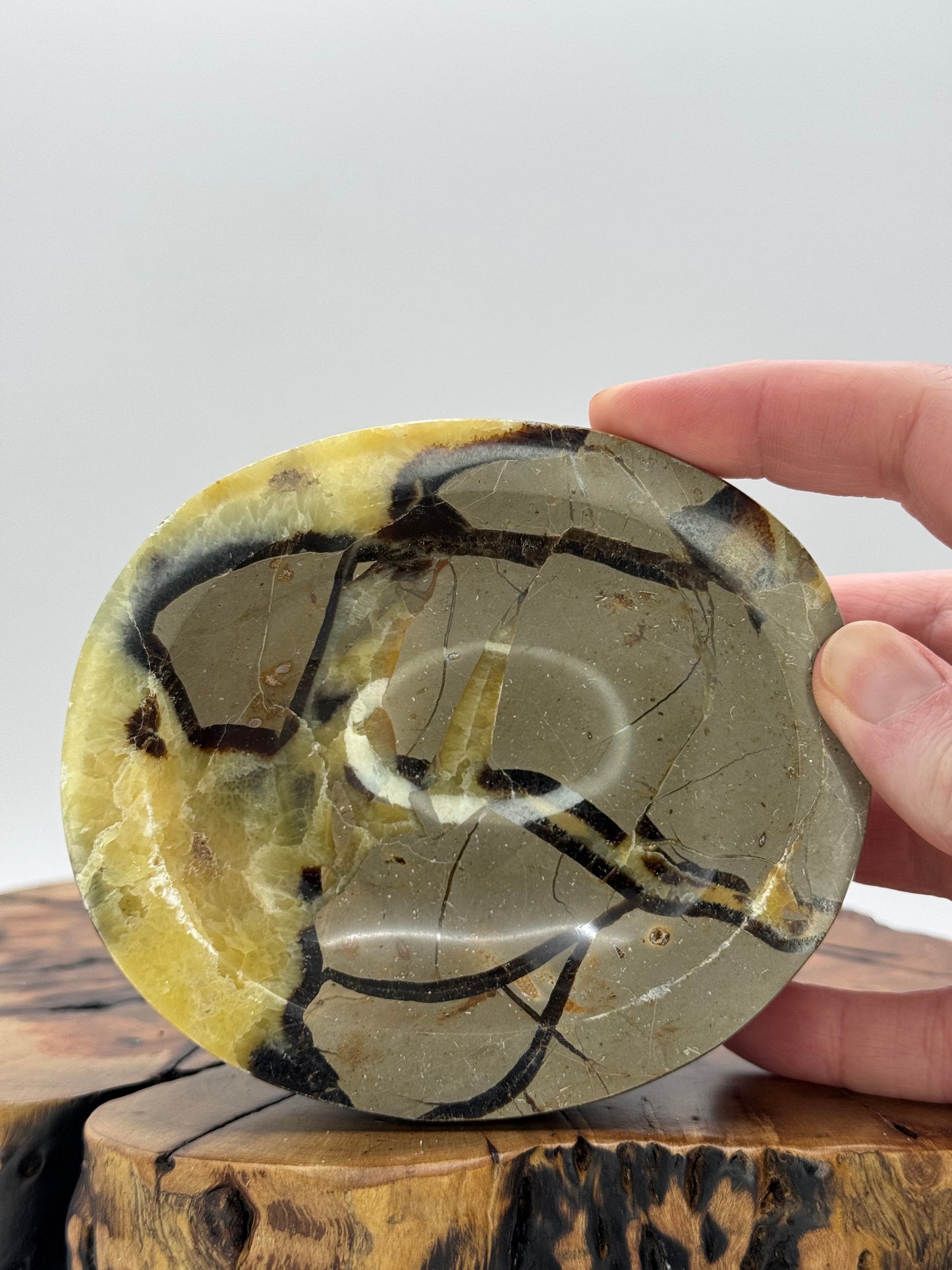 Septarian Bowl