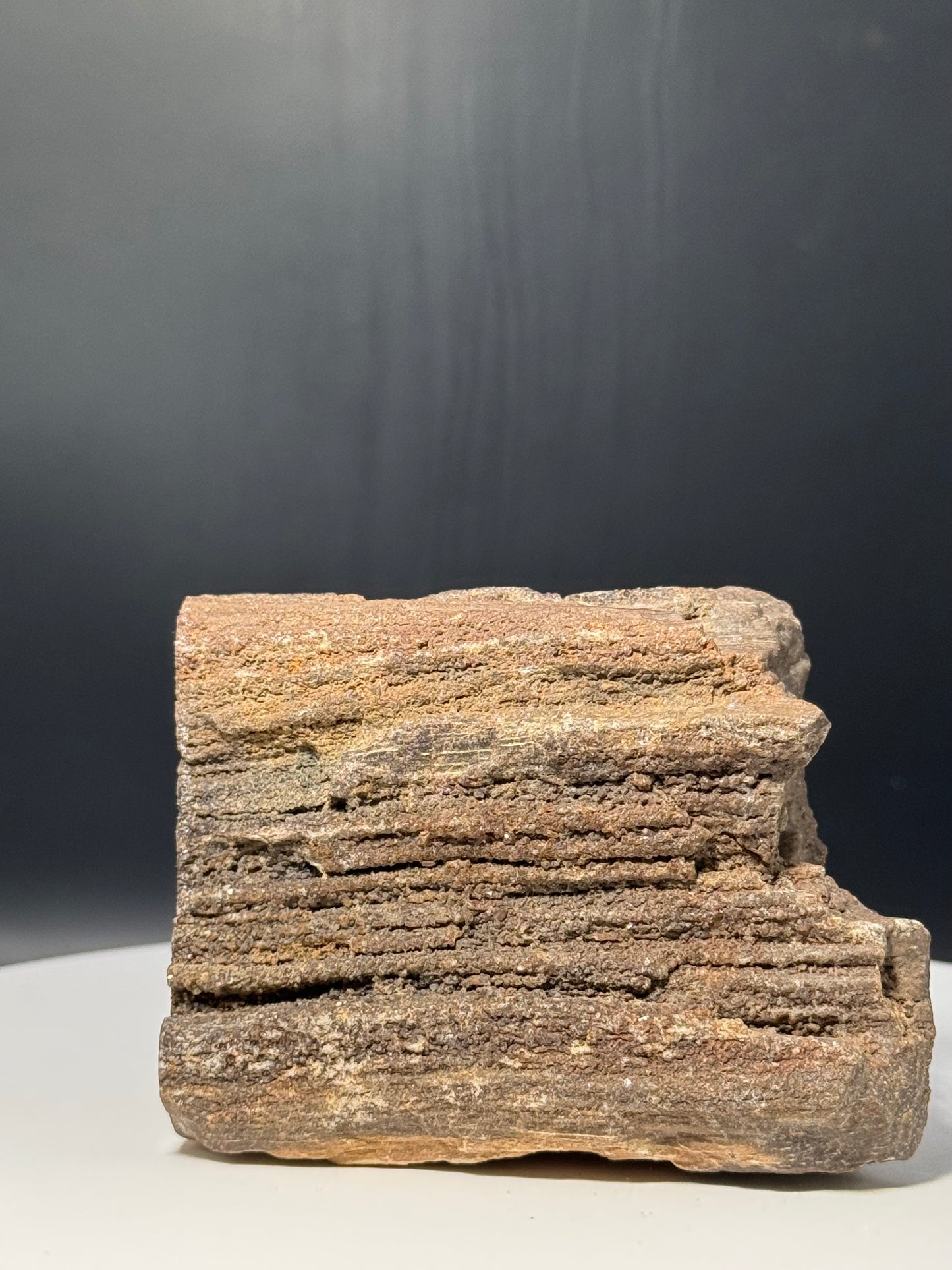 Wyoming Crystalized Petrified Wood