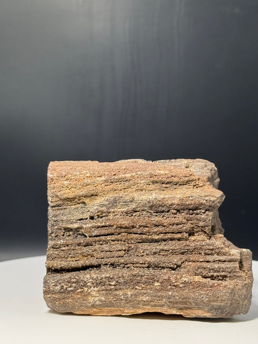Wyoming Crystalized Petrified Wood