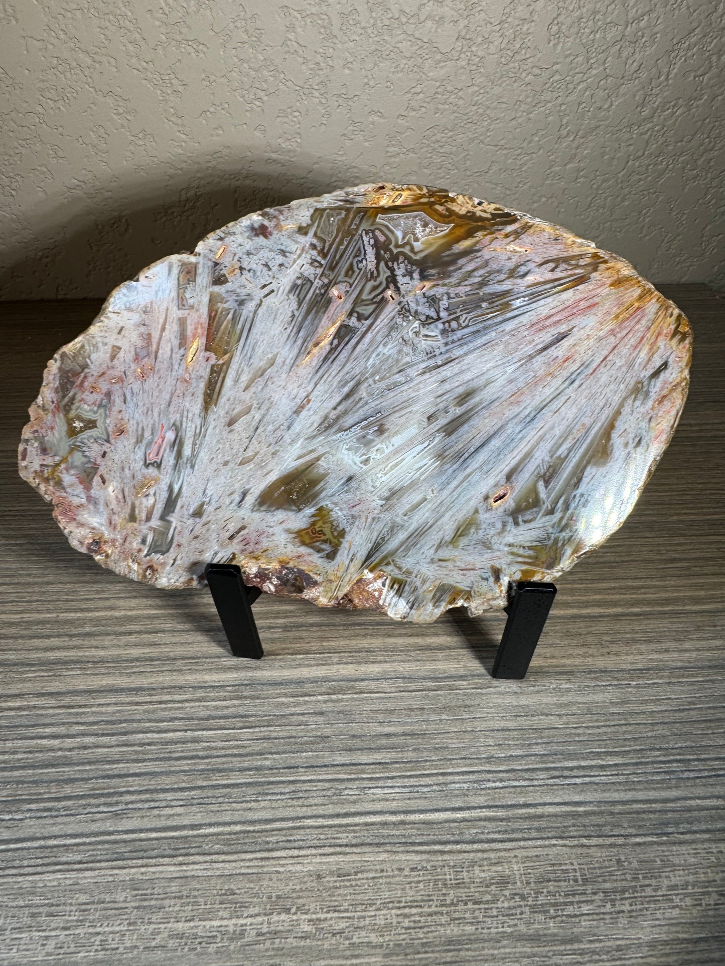 Rare High Grade Brazilian Sagenite Agate Slab on Metal Stand