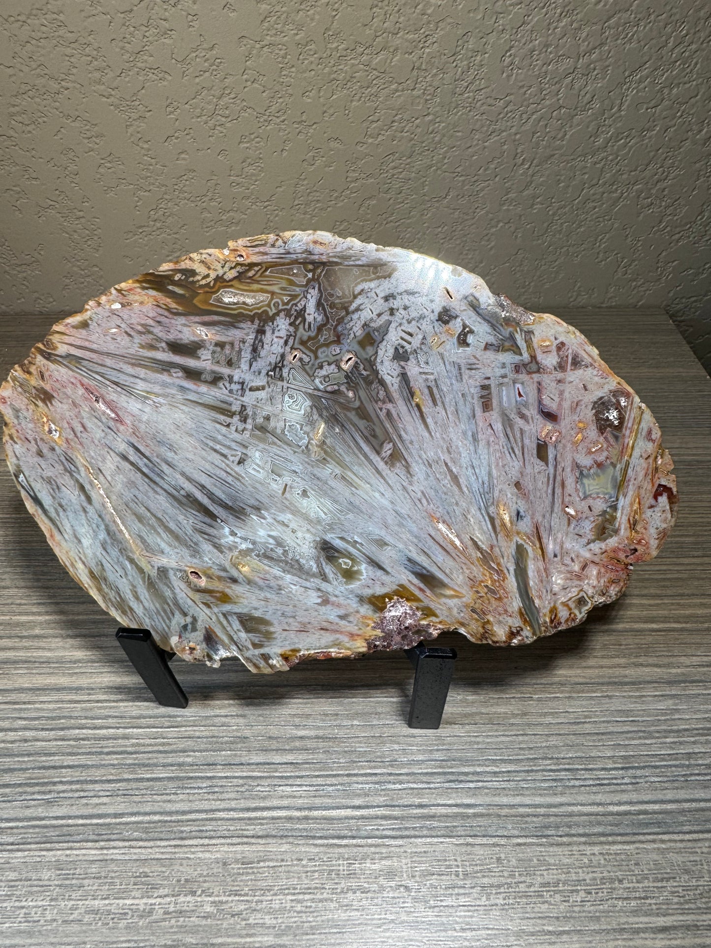 Rare High Grade Brazilian Sagenite Agate Slab on Metal Stand