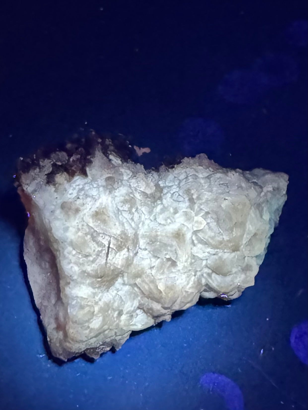 Botryoidal Red Fluorite San Antonio Mine, Santa Eulalia, Mex 73 Grams