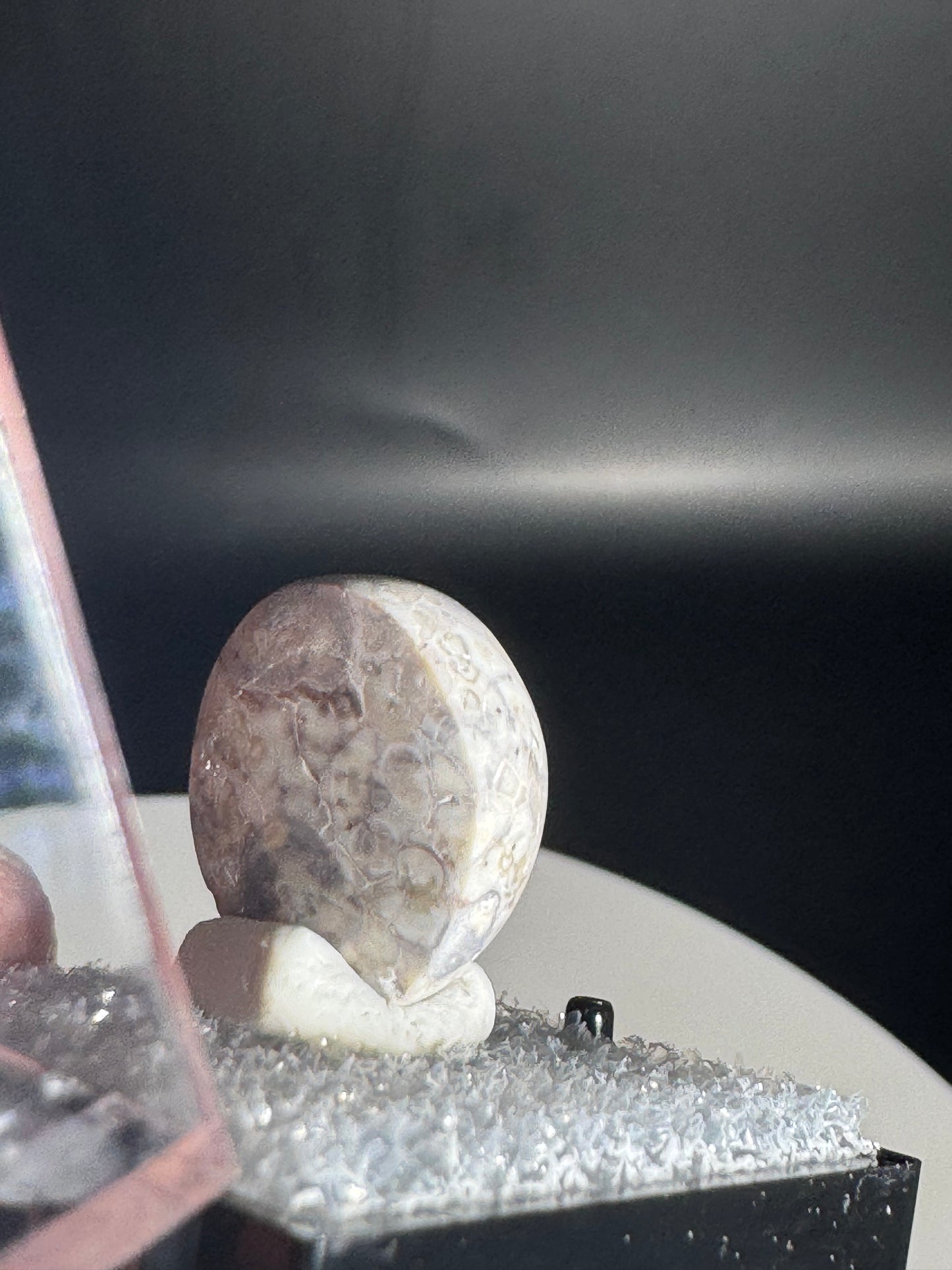 Mexican Cantera Fire Opal Cabochon