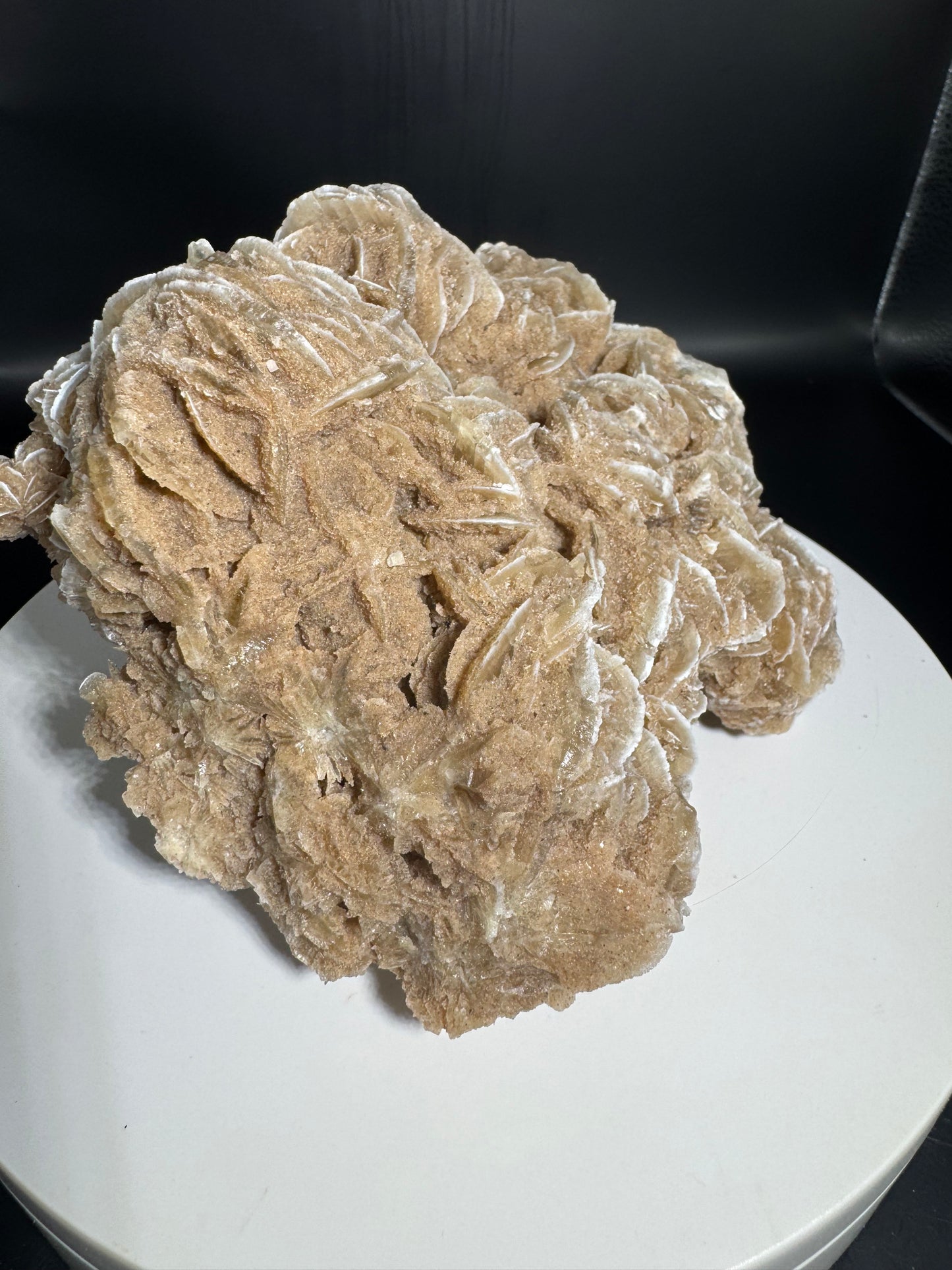 Desert Rose Selenite Cluster 2.5 lbs!