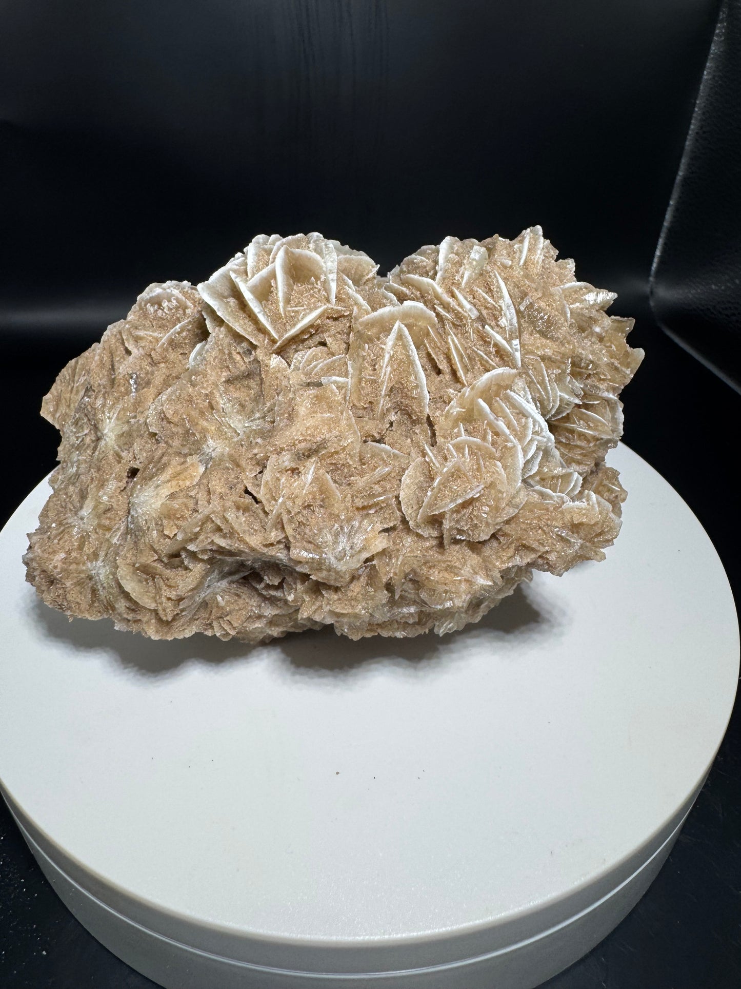 Desert Rose Selenite Cluster 2.5 lbs!