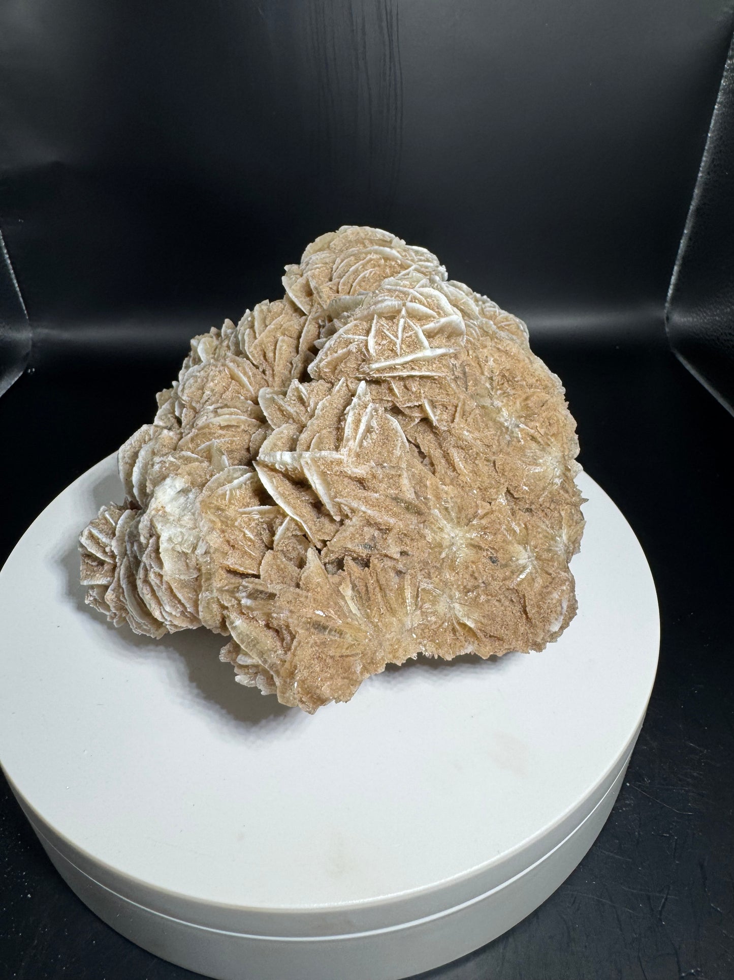 Desert Rose Selenite Cluster 2.5 lbs!