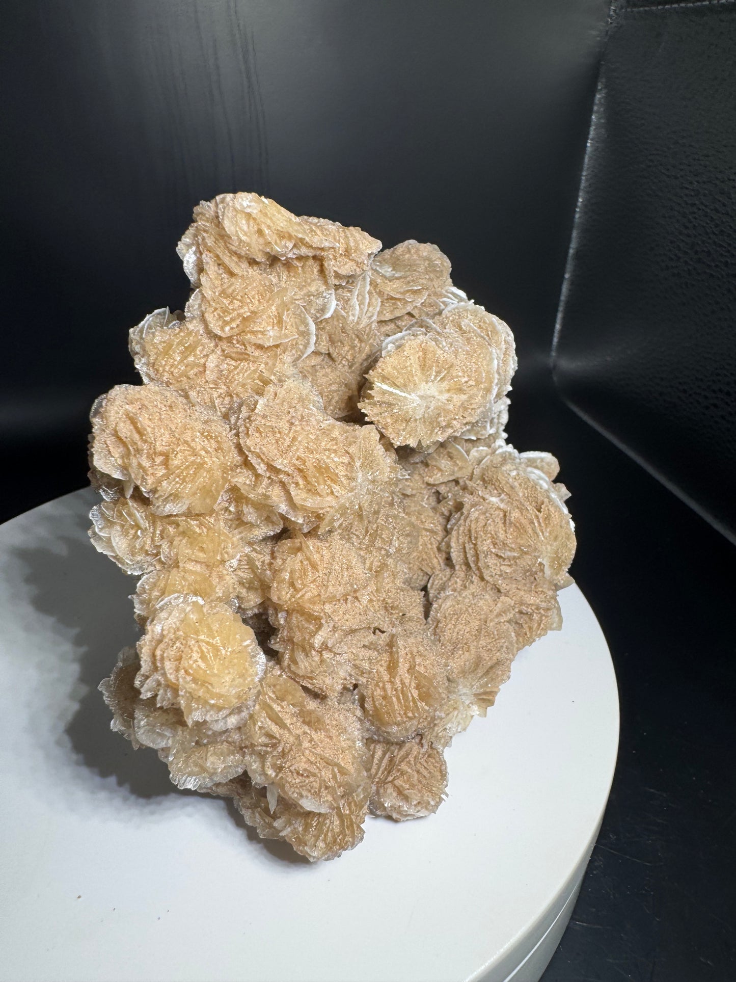 Desert Rose Selenite Cluster 1.7 lbs!