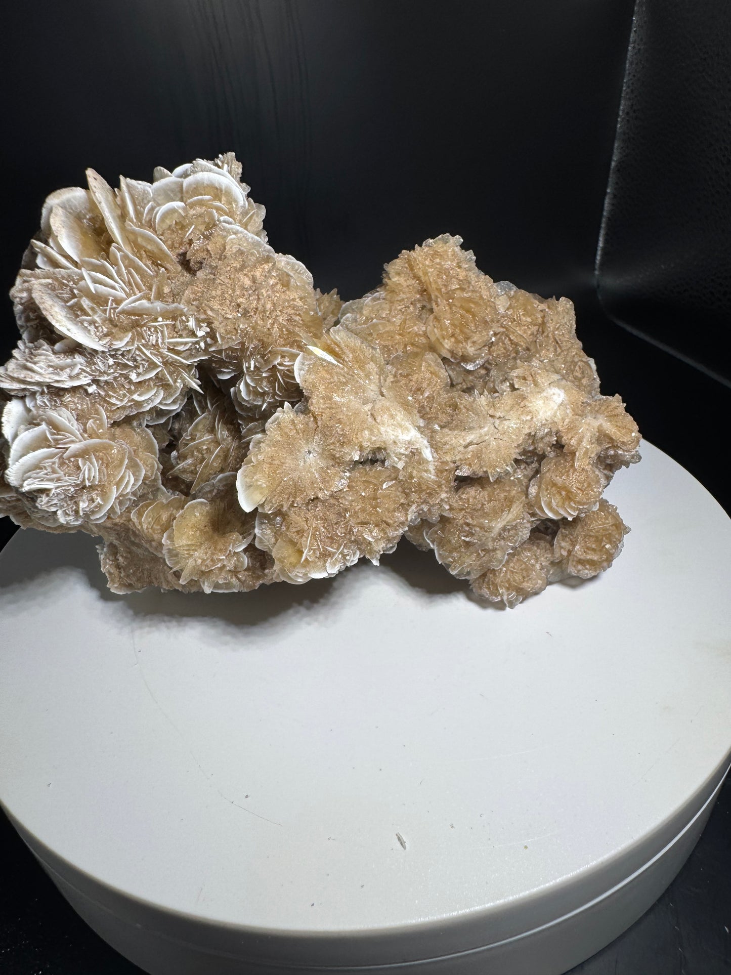 Desert Rose Selenite Cluster 1.7 lbs!
