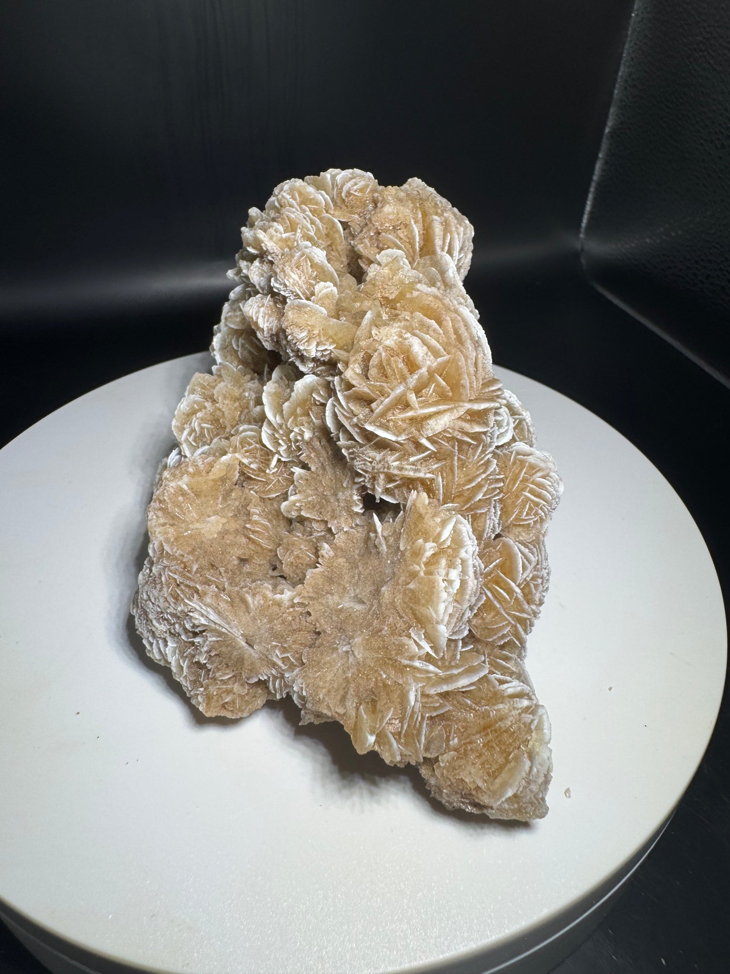 Desert Rose Selenite Cluster 1.1 lbs!