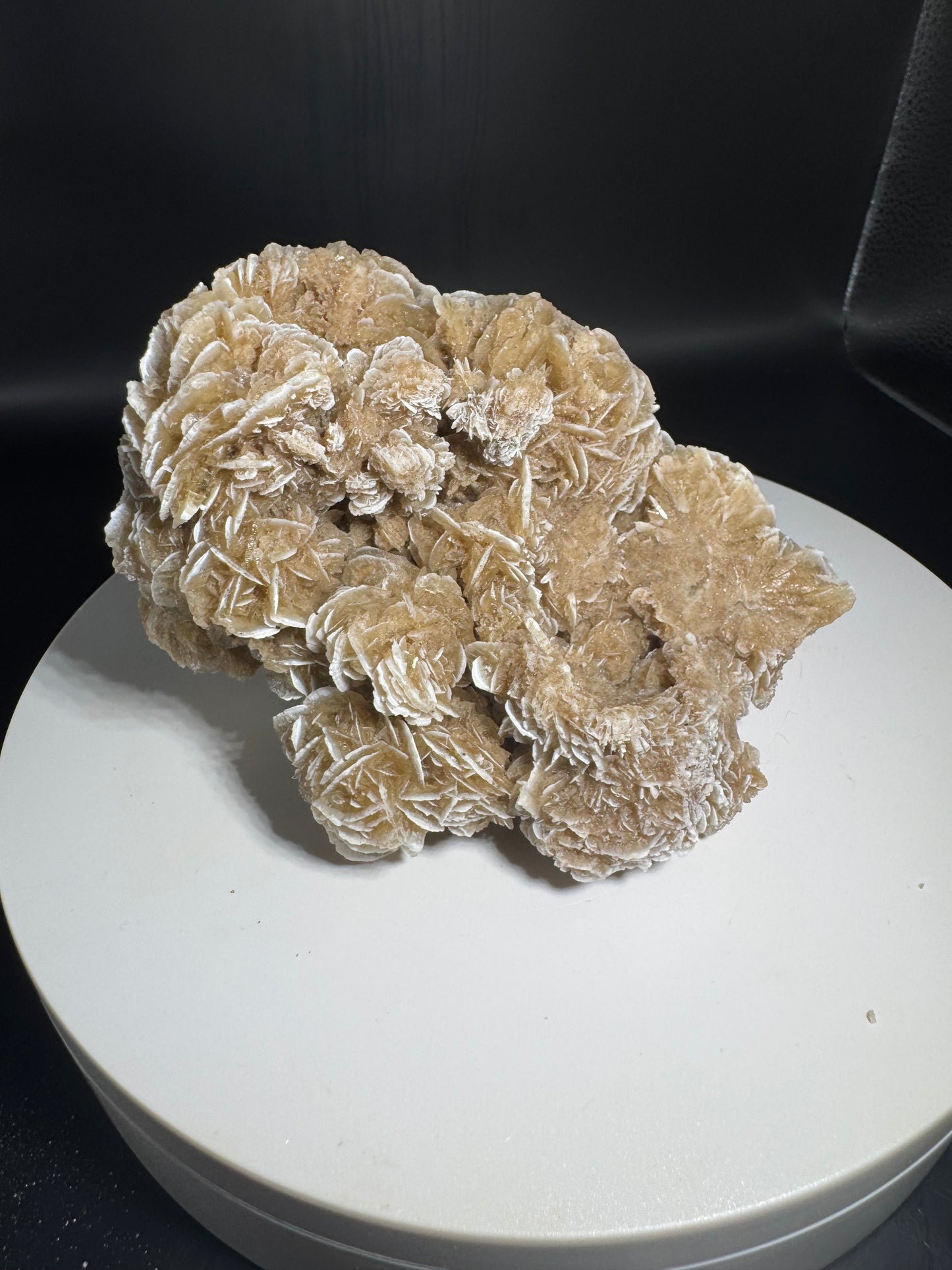 Desert Rose Selenite Cluster 1.1 lbs!