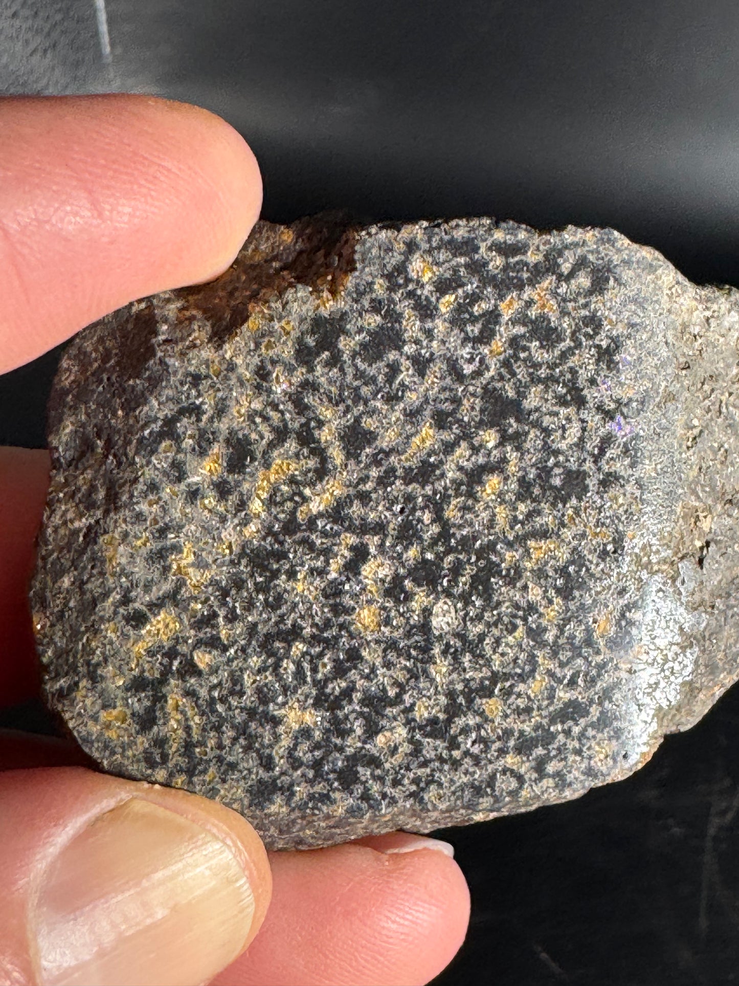 Leopard Opal Rough Slab 37 Grams