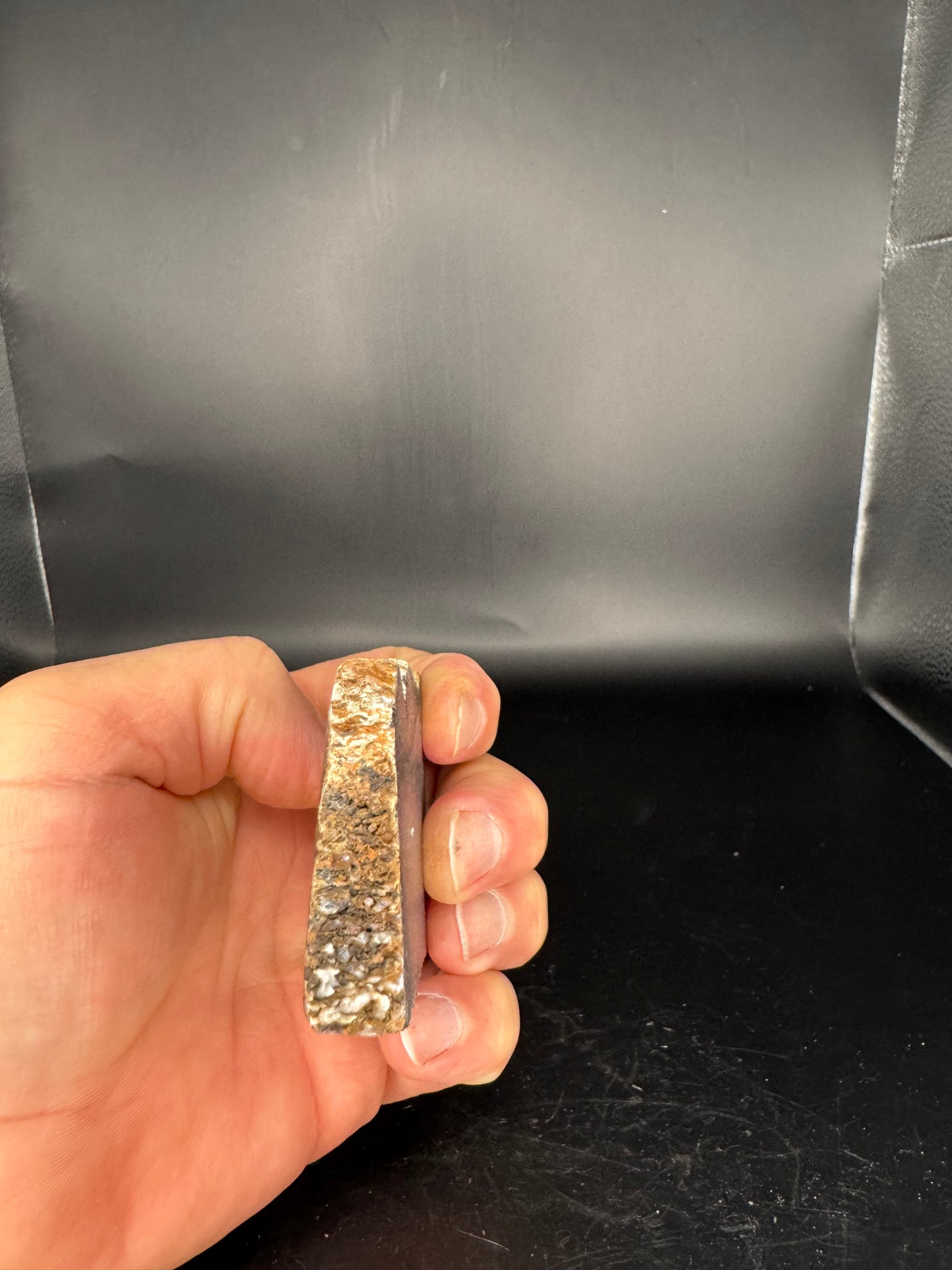 Face polished Dino Gem Bone Slab from Utah