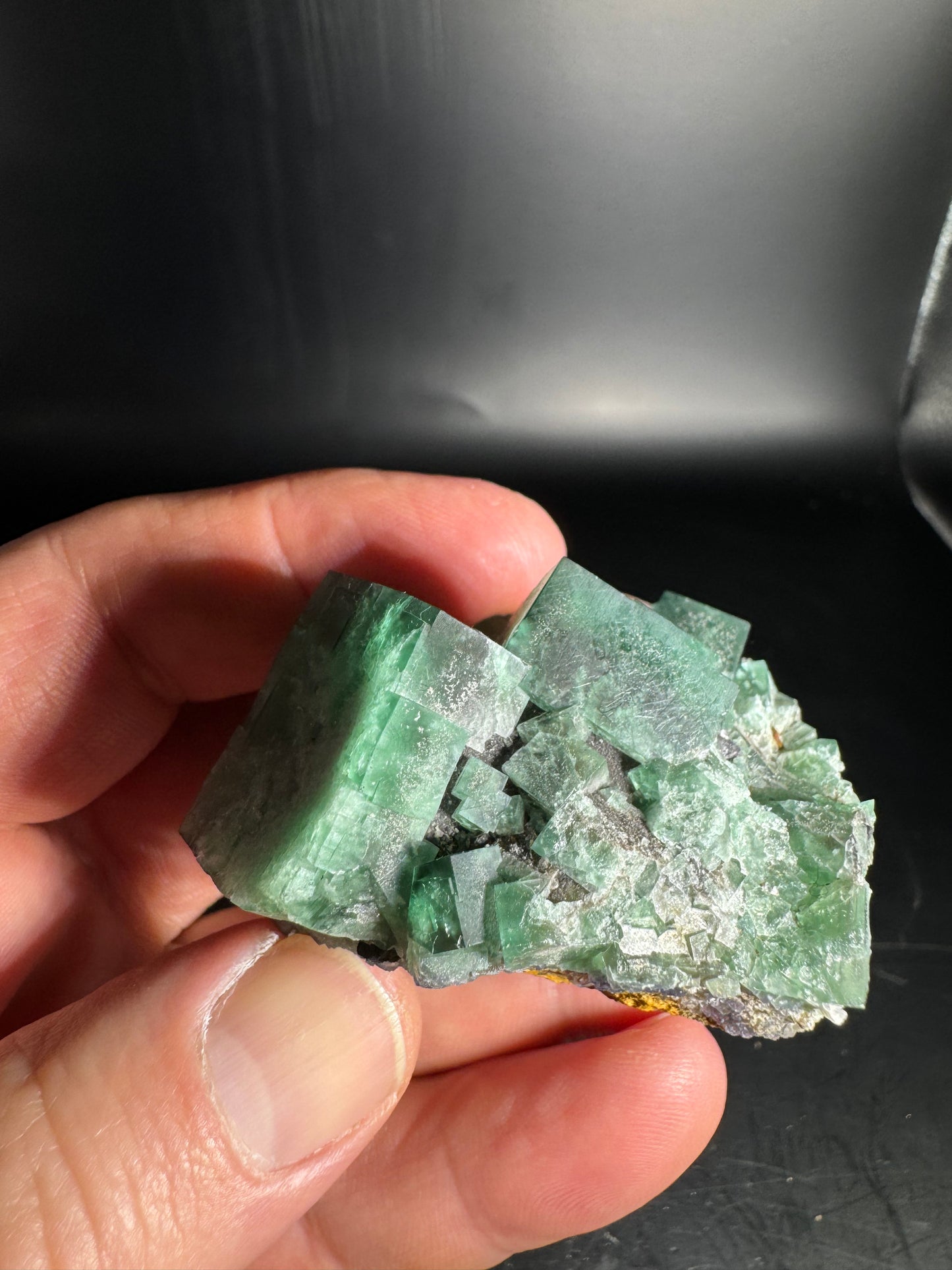 Diana Maria Fluorite Greedy Hog Pocket 125 Grams