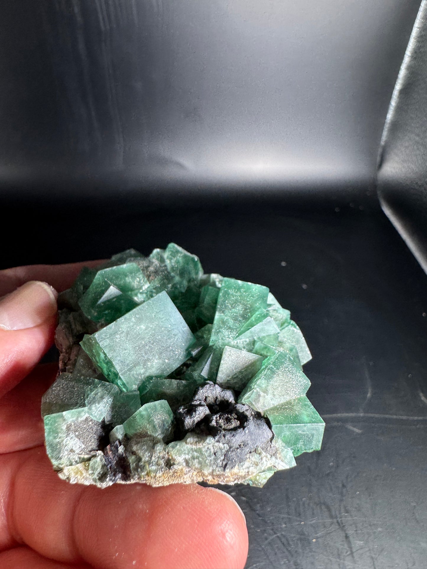 Diana Maria Fluorite Greedy Hog Pocket 132 Grams
