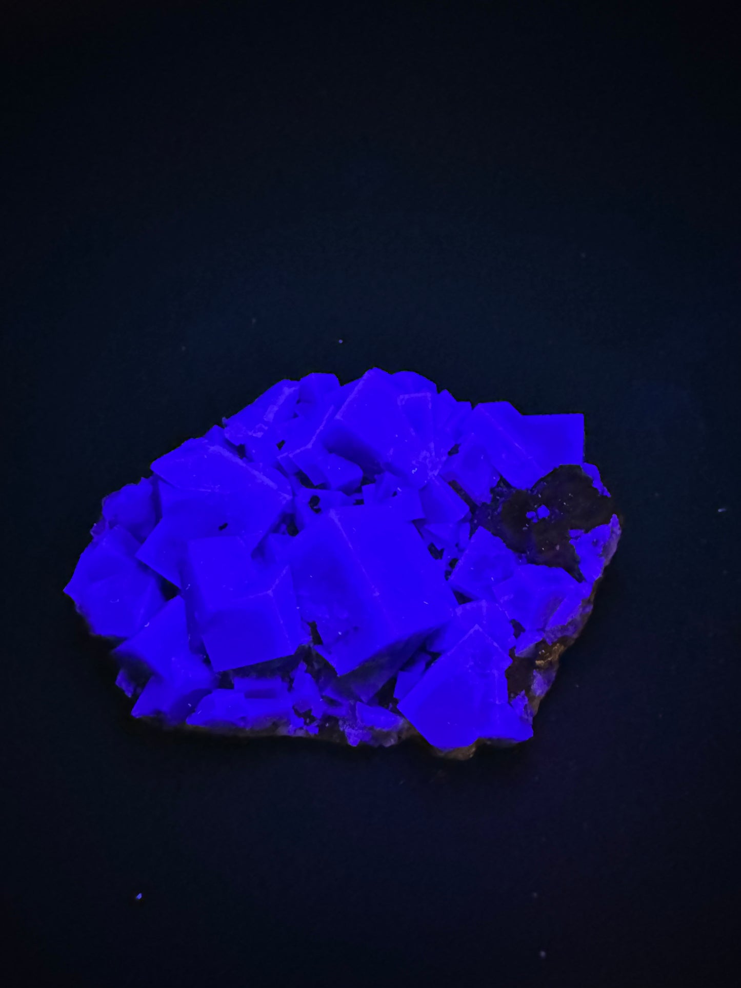 Diana Maria Fluorite Greedy Hog Pocket 132 Grams