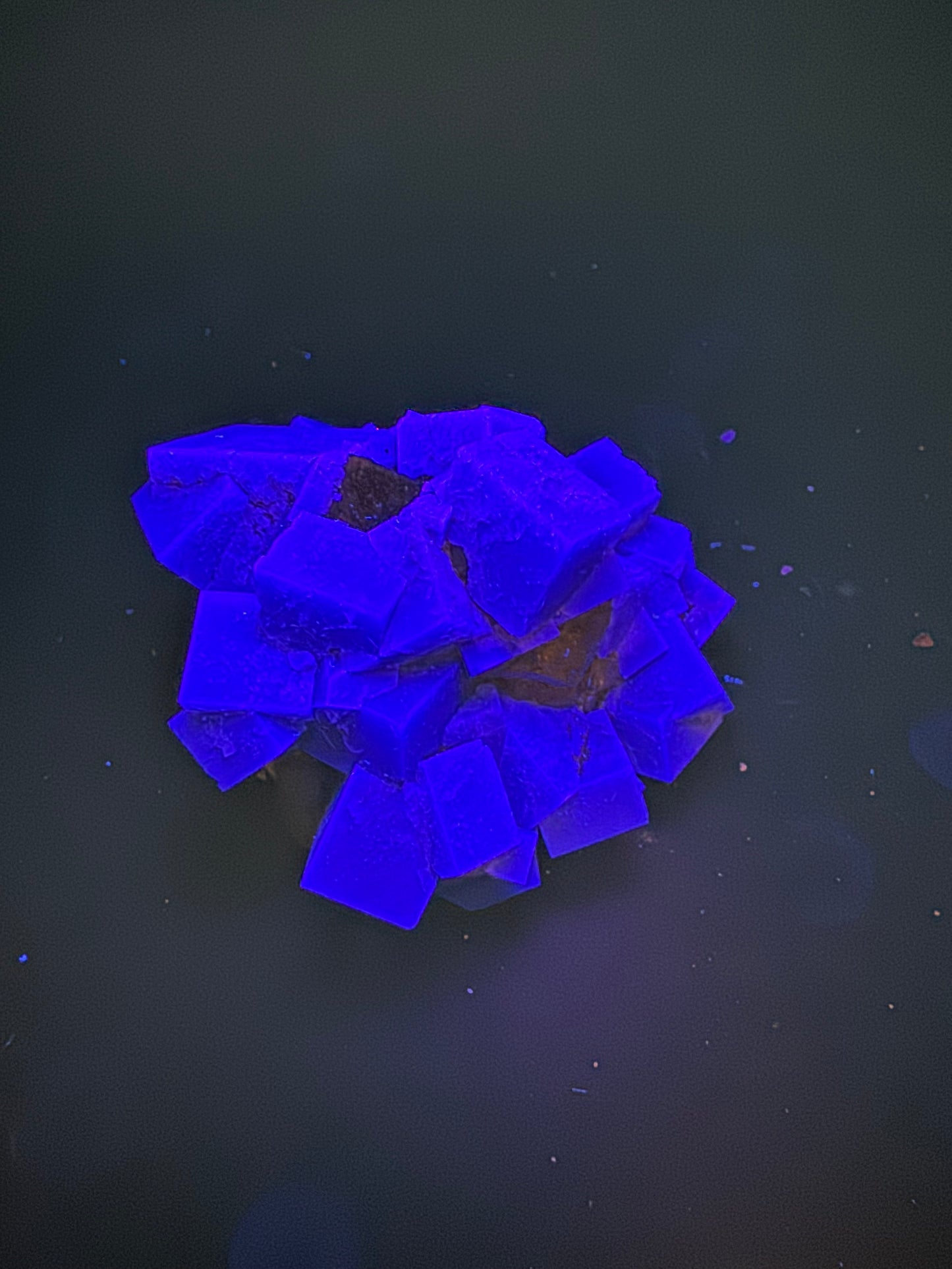 Diana Maria Fluorite Greedy Hog Pocket 201 Grams