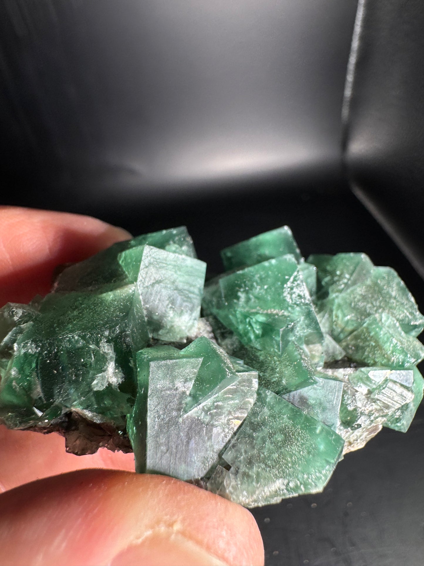 Diana Maria Fluorite Greedy Hog Pocket 106 Grams