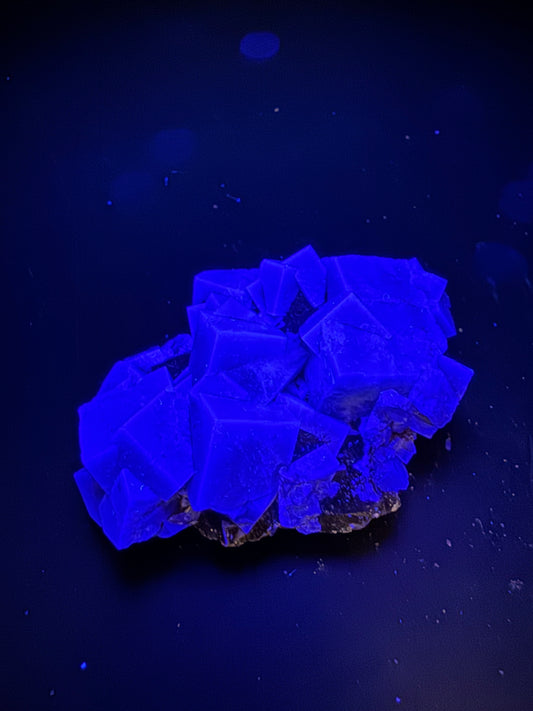 Diana Maria Fluorite Greedy Hog Pocket 106 Grams