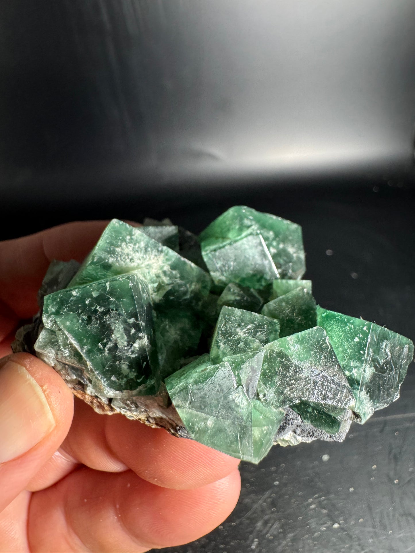 Diana Maria Fluorite Greedy Hog Pocket 161 Grams
