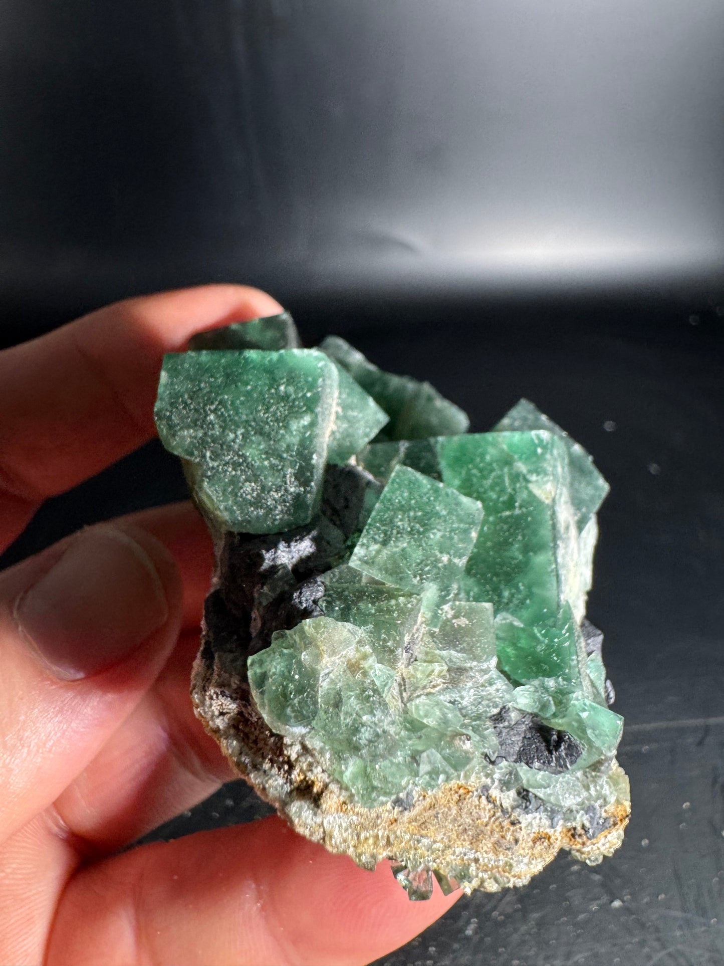 Diana Maria Fluorite Greedy Hog Pocket 161 Grams
