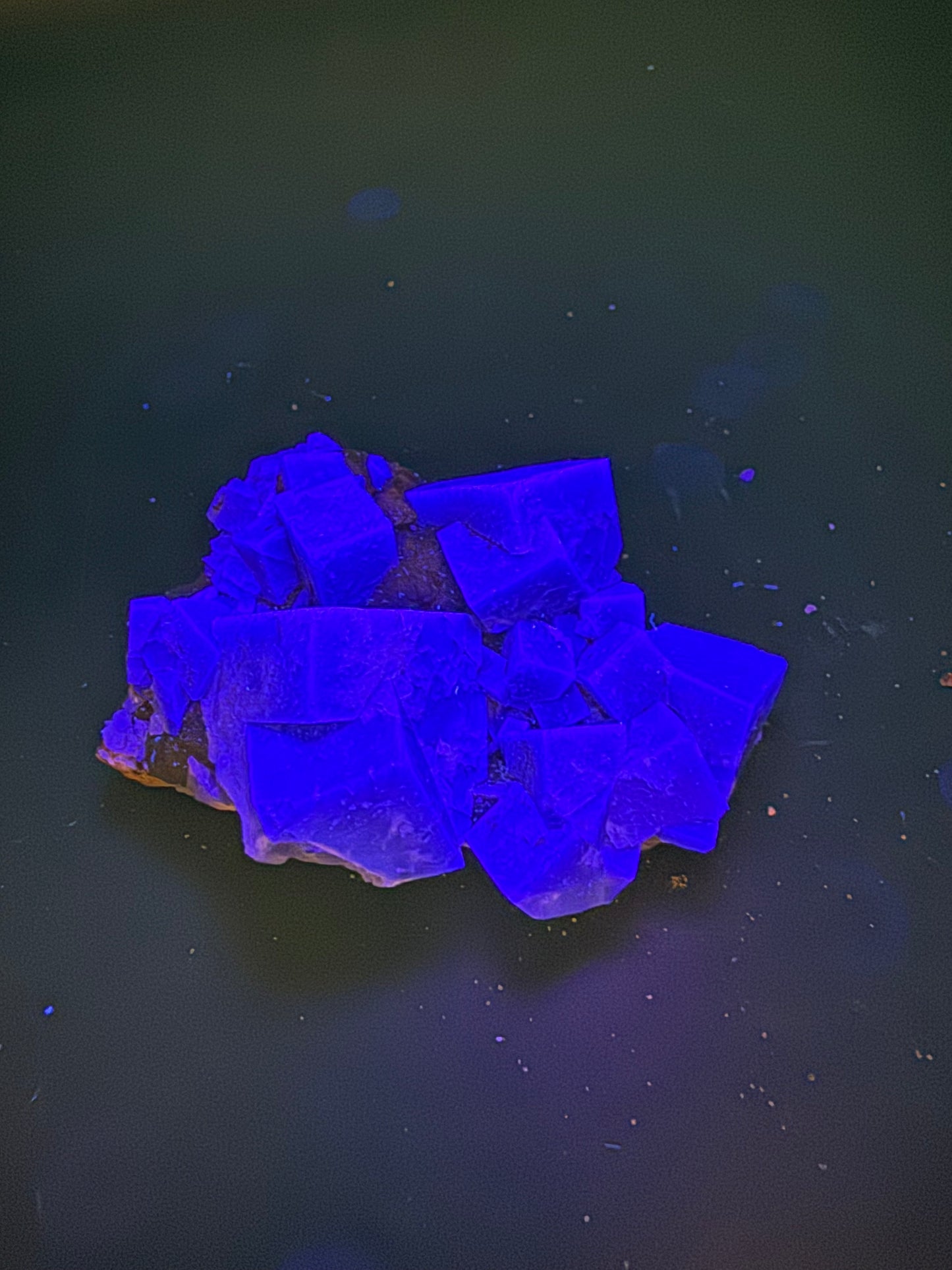 Diana Maria Fluorite Greedy Hog Pocket 161 Grams