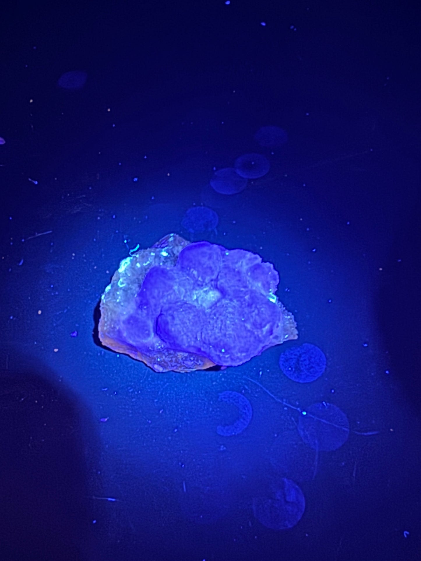 Navidad Fluorite Rodeo, Durango, Mex 62 Grams