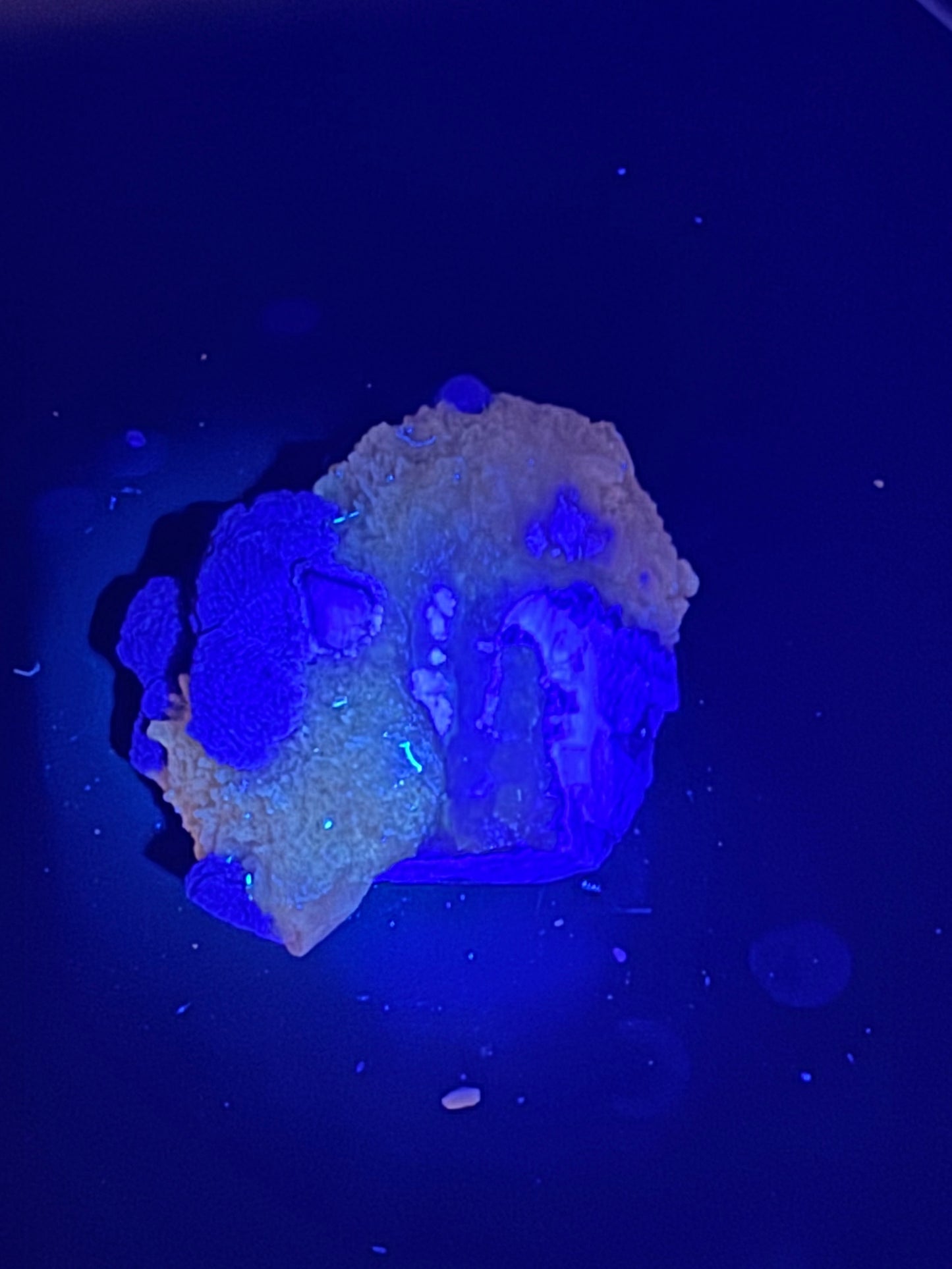 Navidad Fluorite Rodeo, Durango, Mex 269 Grams
