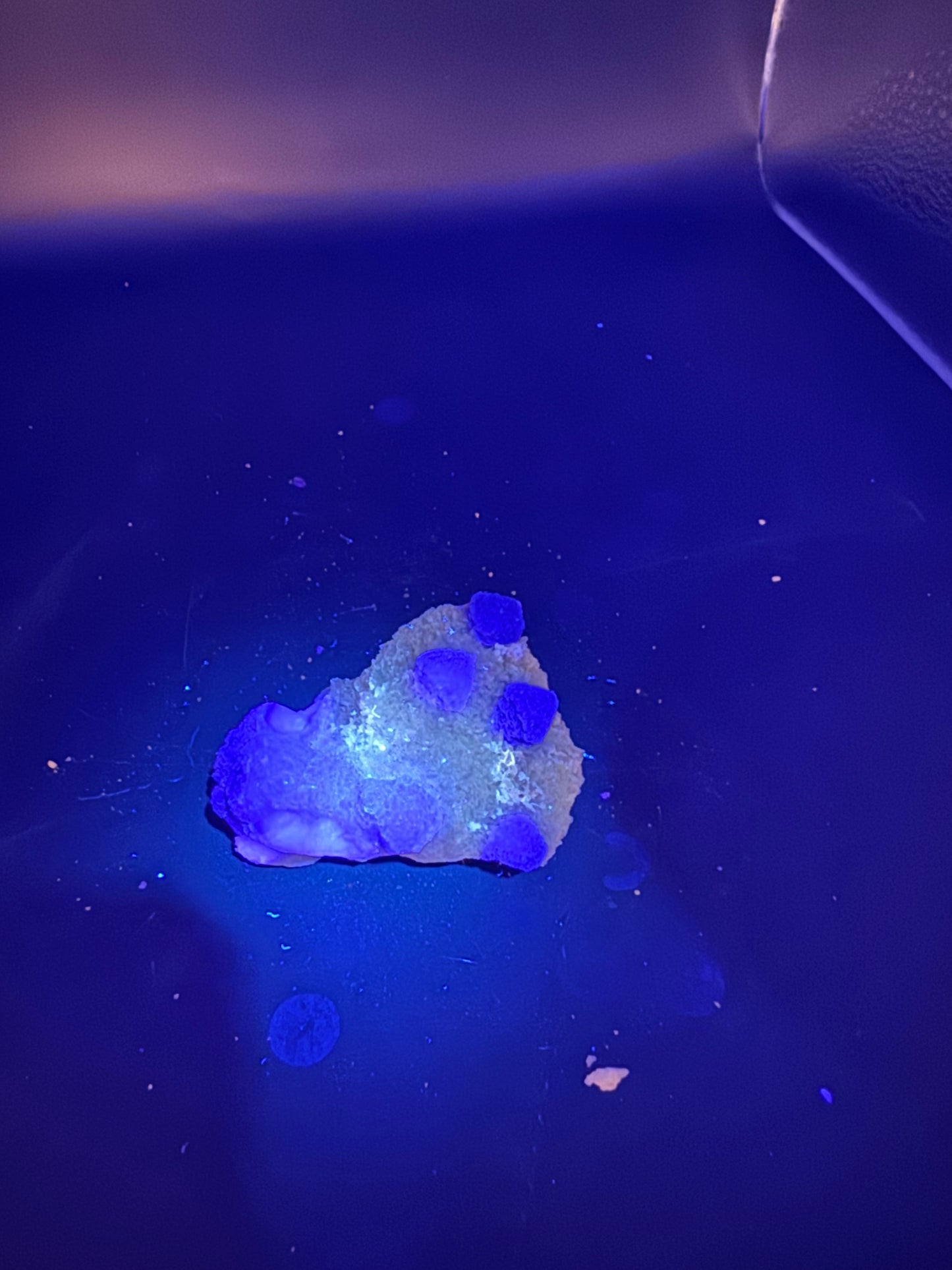 Navidad Fluorite Rodeo, Durango, Mex 99 Grams