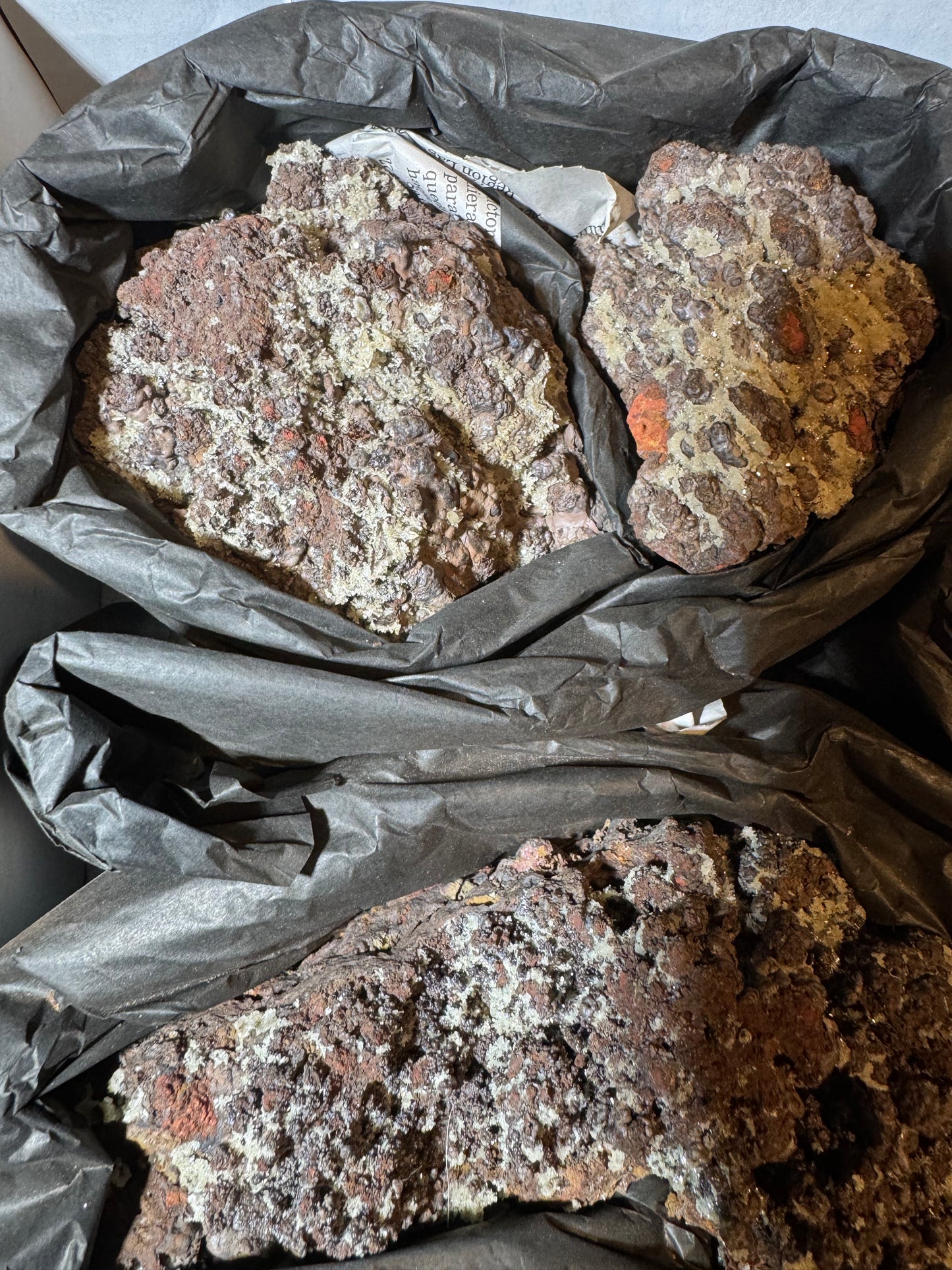 Willemite on Goethite 11 pcs Wholesale La Ojuela Mine Mapimi Durango Mex