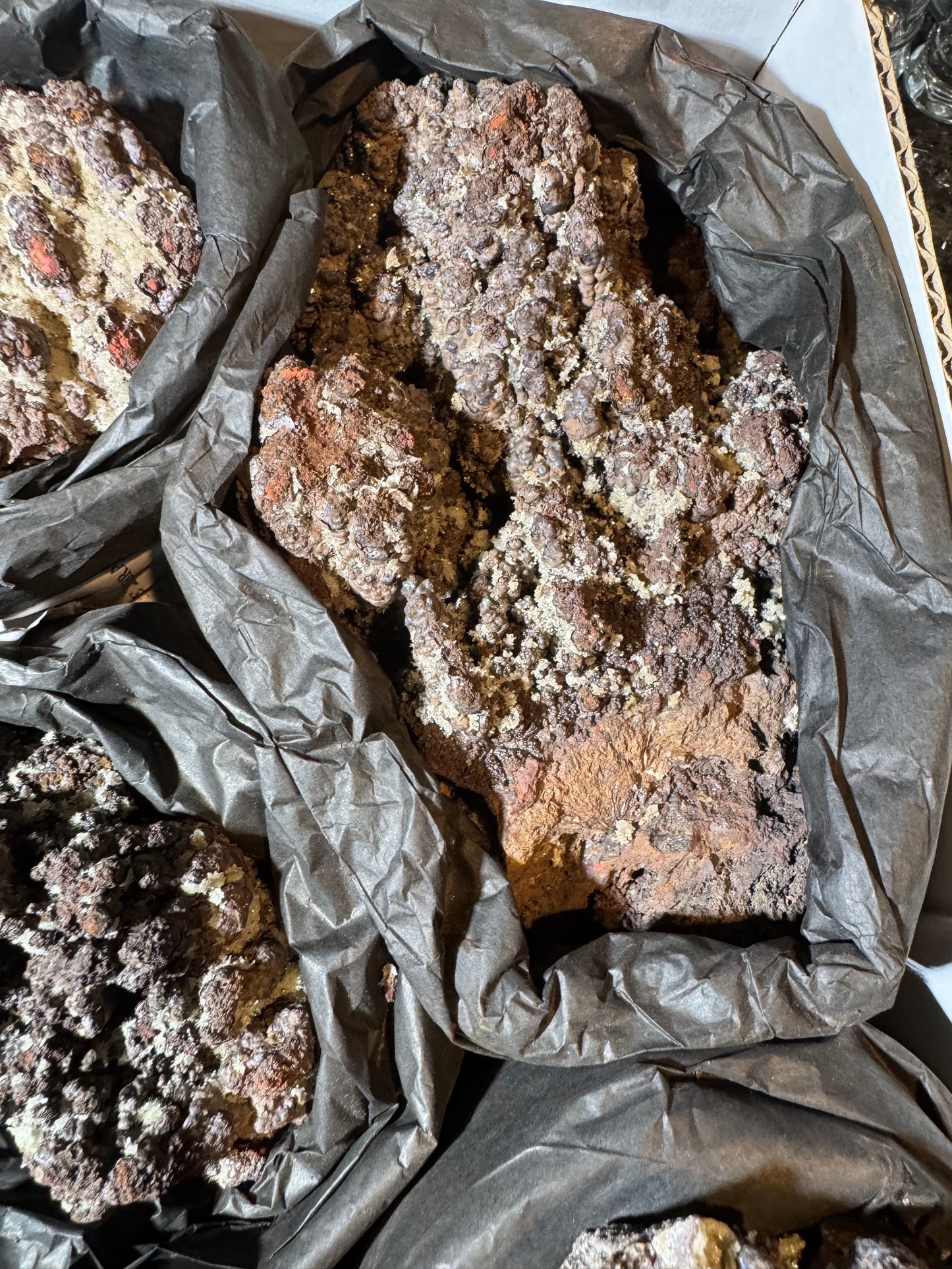 Willemite on Goethite 11 pcs Wholesale La Ojuela Mine Mapimi Durango Mex