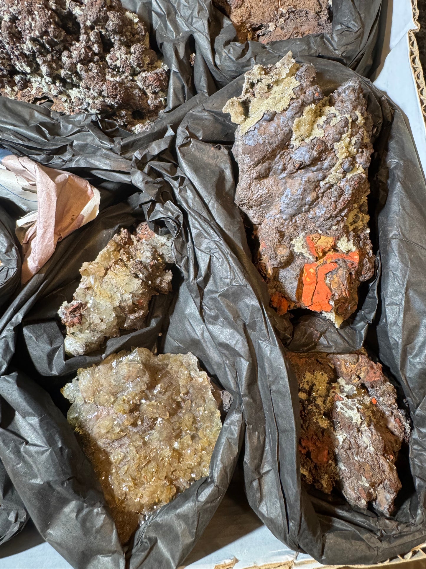 Willemite on Goethite 11 pcs Wholesale La Ojuela Mine Mapimi Durango Mex