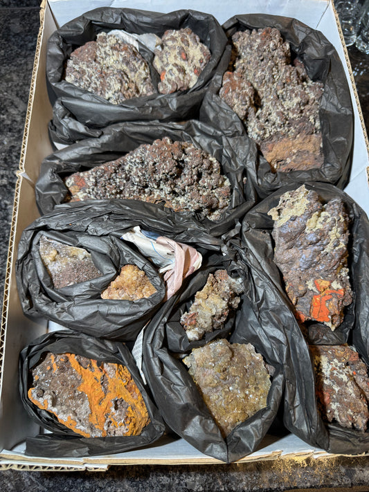 Willemite on Goethite 11 pcs Wholesale La Ojuela Mine Mapimi Durango Mex