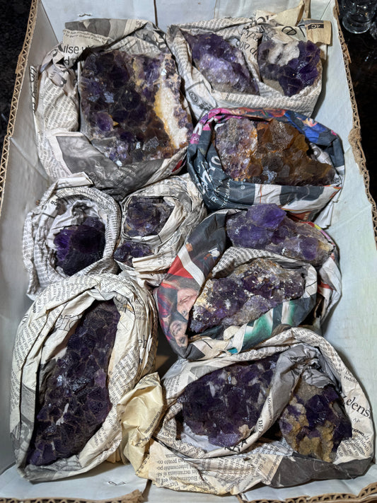Fluorite Wholesale 12 pcs flat, From San Antonio mine Santa Eulalia Chihuahua Mexico.