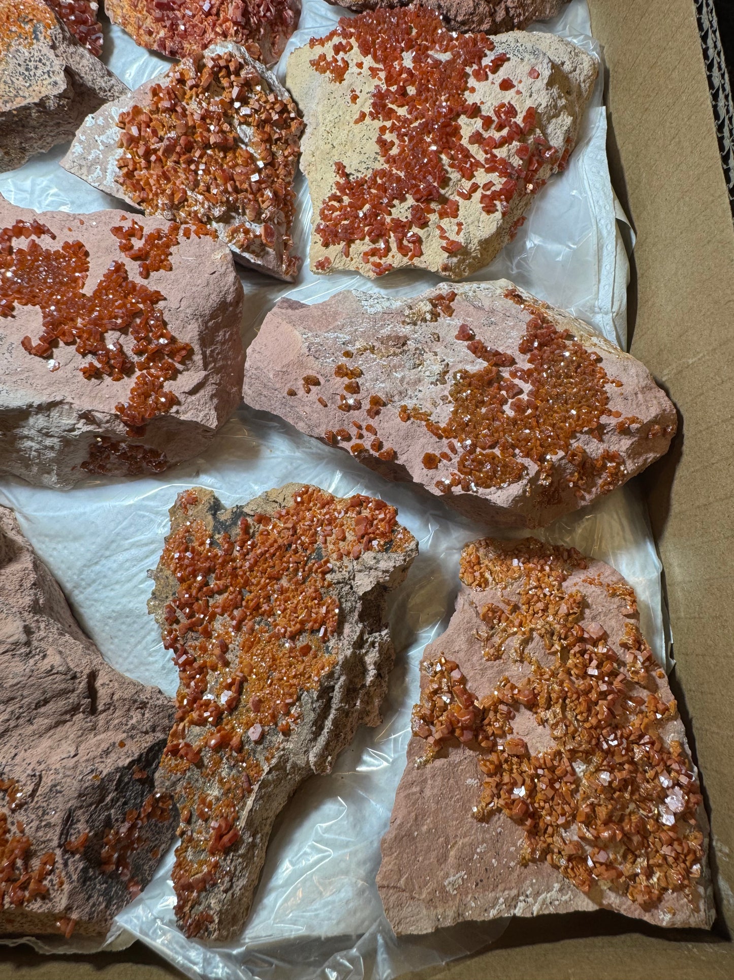 Vanadinite Wholesale flat 11 piece from Morocco