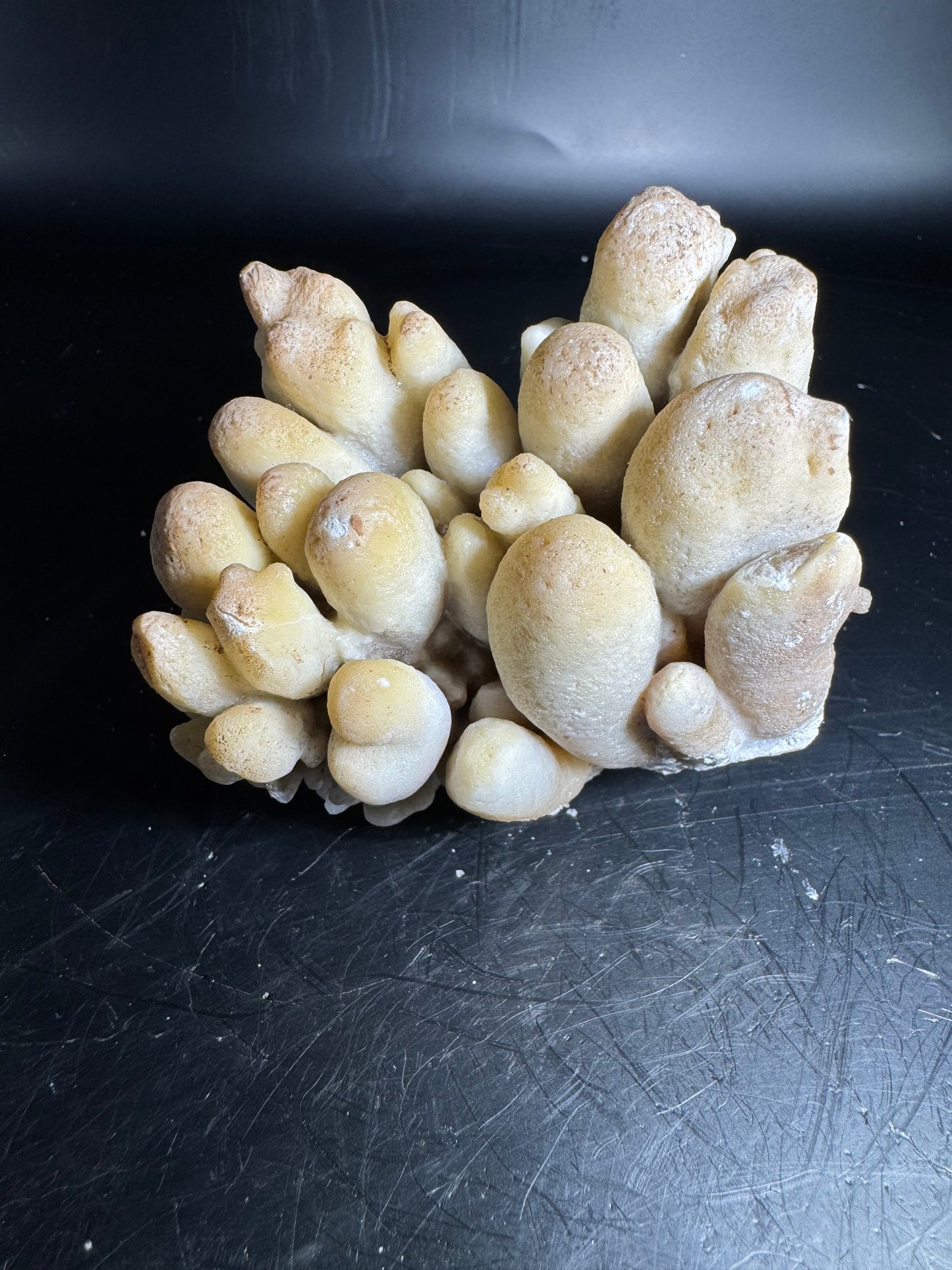 Botryoidal Honey Aragonite - Santa Eulalia, Chihuahua, Mexico 331 g