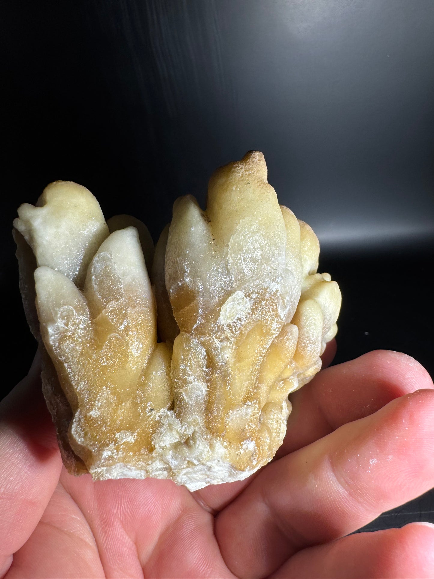 Botryoidal Honey Aragonite - Santa Eulalia, Chihuahua, Mexico 331 g