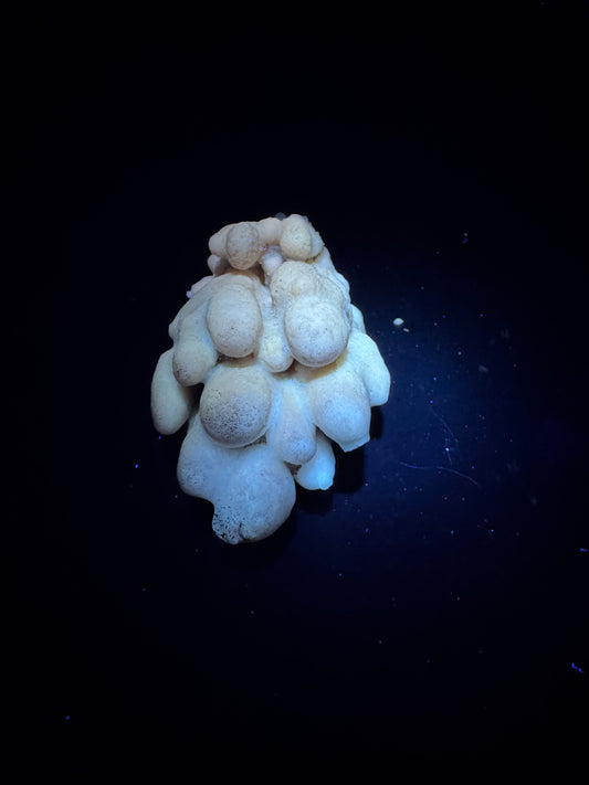 Botryoidal Honey Aragonite - Santa Eulalia, Chihuahua, Mexico 108 g