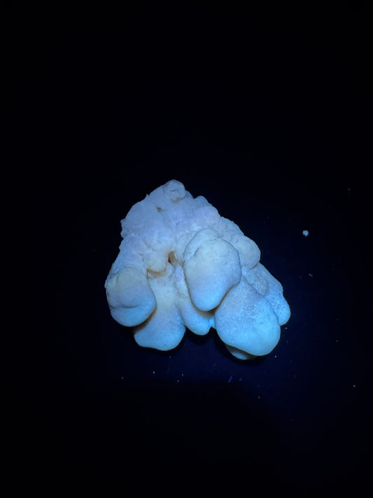 Botryoidal Honey Aragonite - Santa Eulalia, Chihuahua, Mexico 60 g