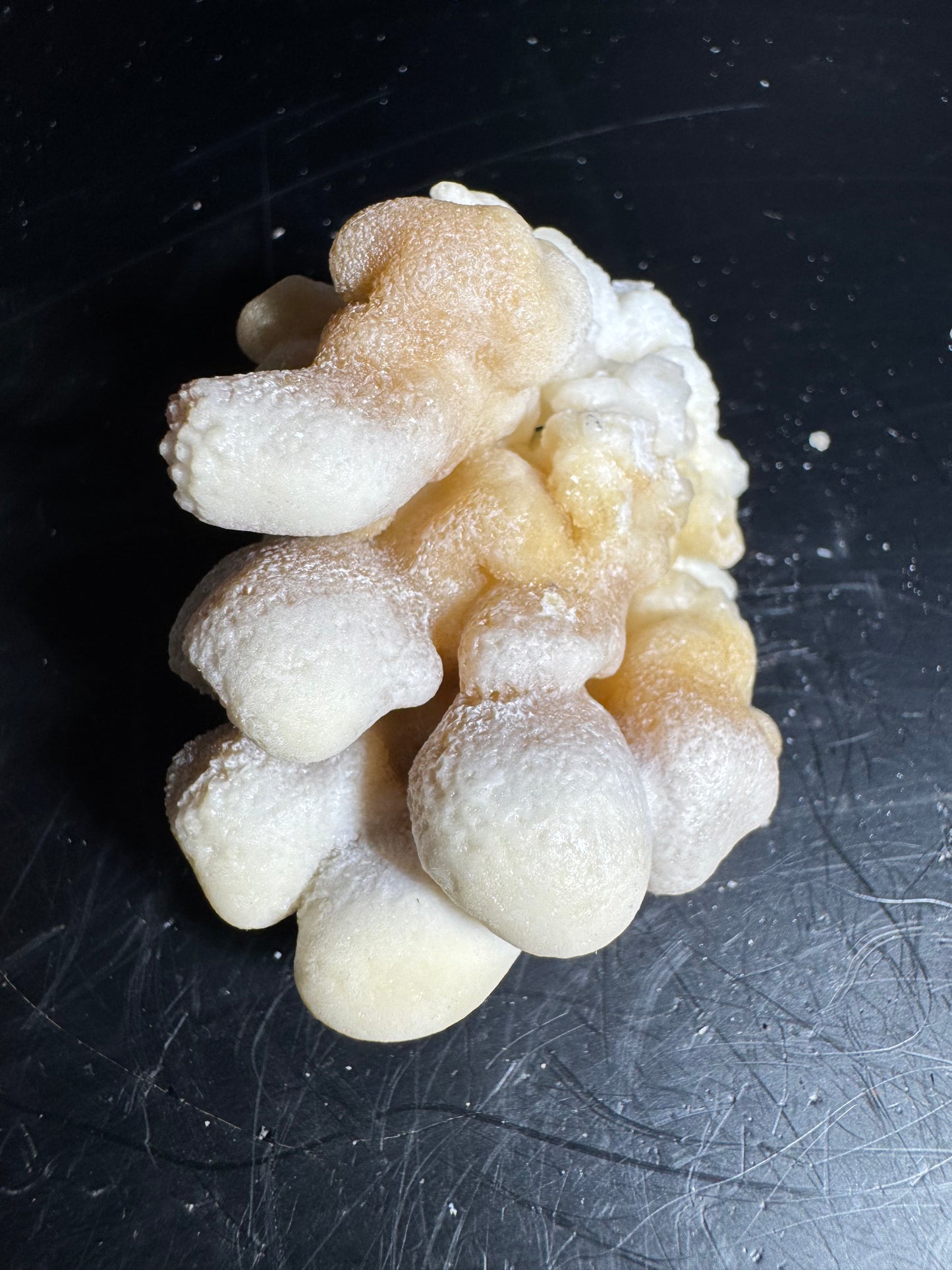 Botryoidal Honey Aragonite - Santa Eulalia, Chihuahua, Mexico 99 g