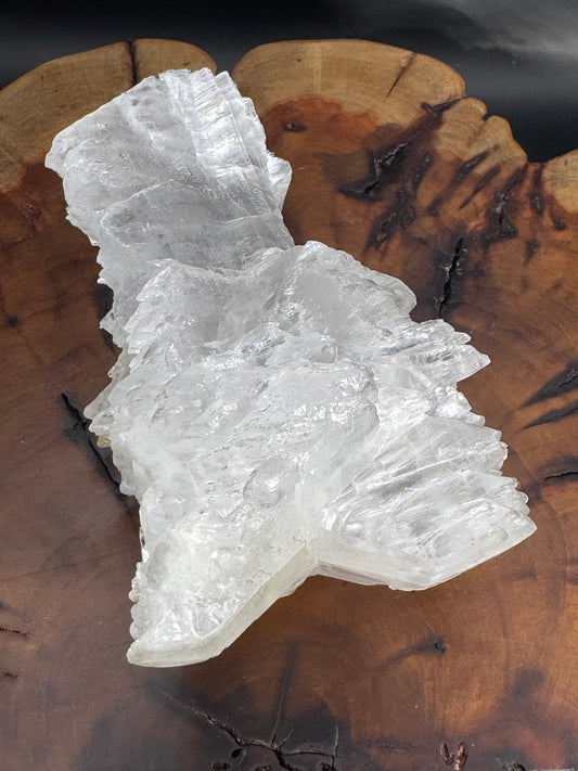 Awesome Fishtail Selenite Laguna del Ray, Coahuila Mex 308 Grams