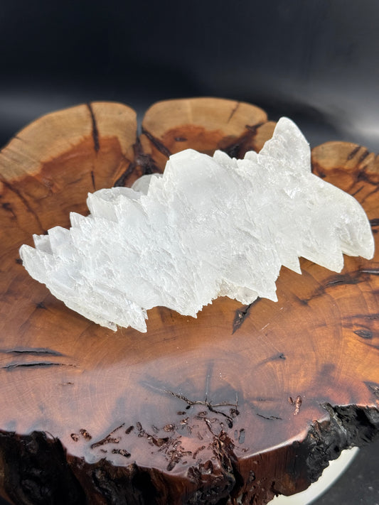 Awesome Fishtail Selenite Laguna del Ray, Coahuila Mex 318 Grams