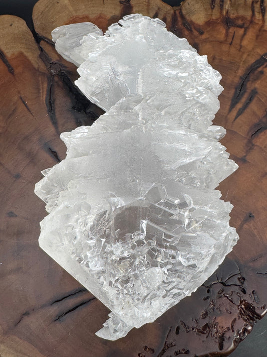 Awesome Fishtail Selenite Laguna del Ray, Coahuila Mex 546 Grams