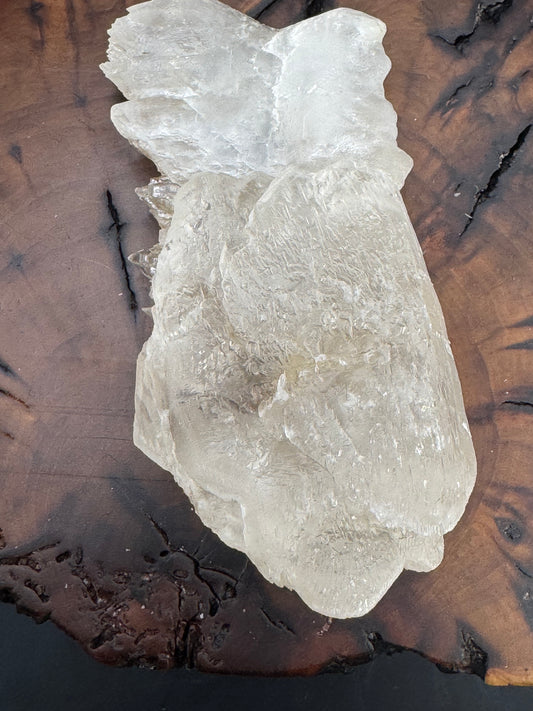 Awesome Fishtail Selenite Laguna del Ray, Coahuila Mex 310 Grams