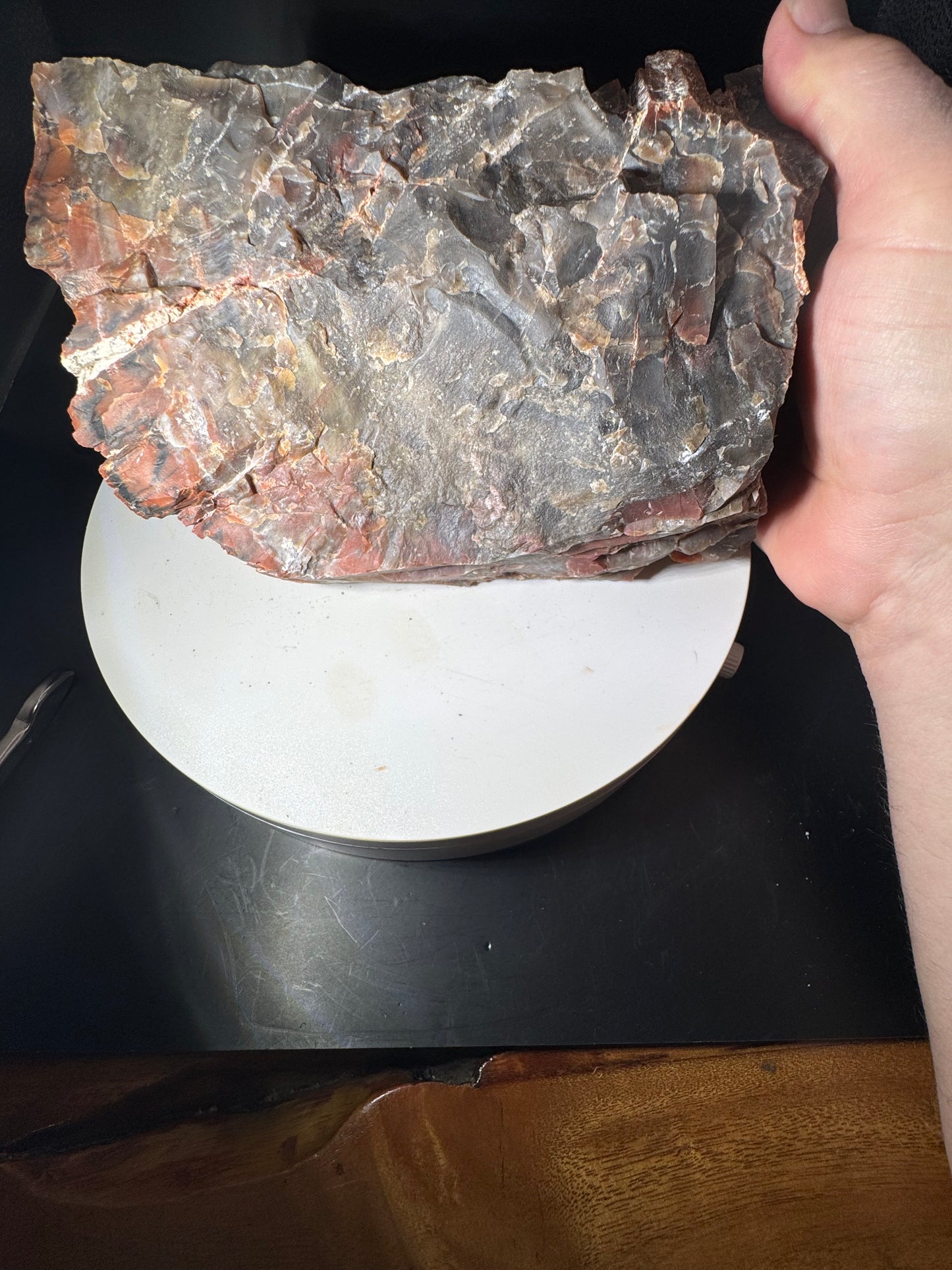Arizona Rainbow Petrified Wood 4.2 LBS!