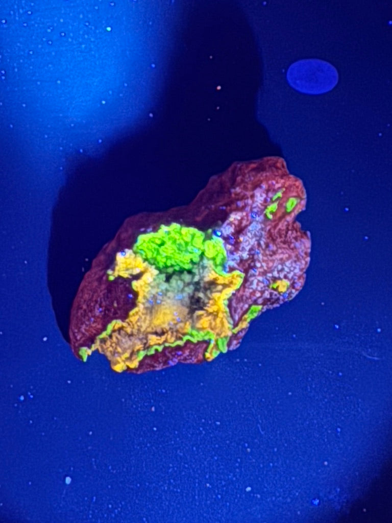 UV Fluorescent Minerals