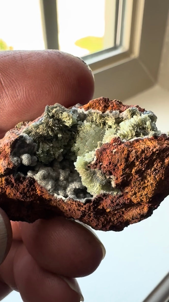 Willemite from La Ojuela mine, Mapimi, Durango Mexico. 24 Grams